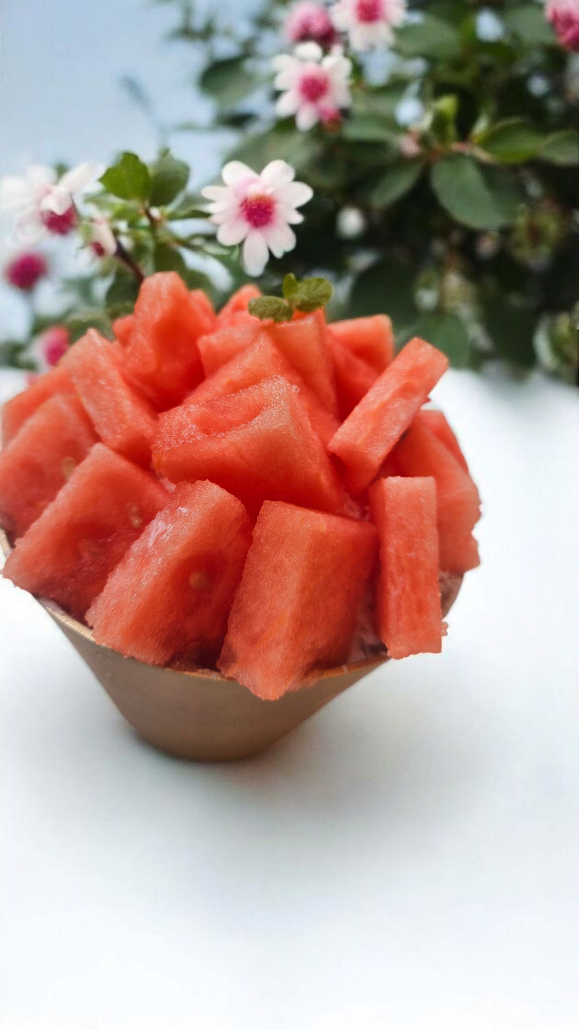 수박빙수