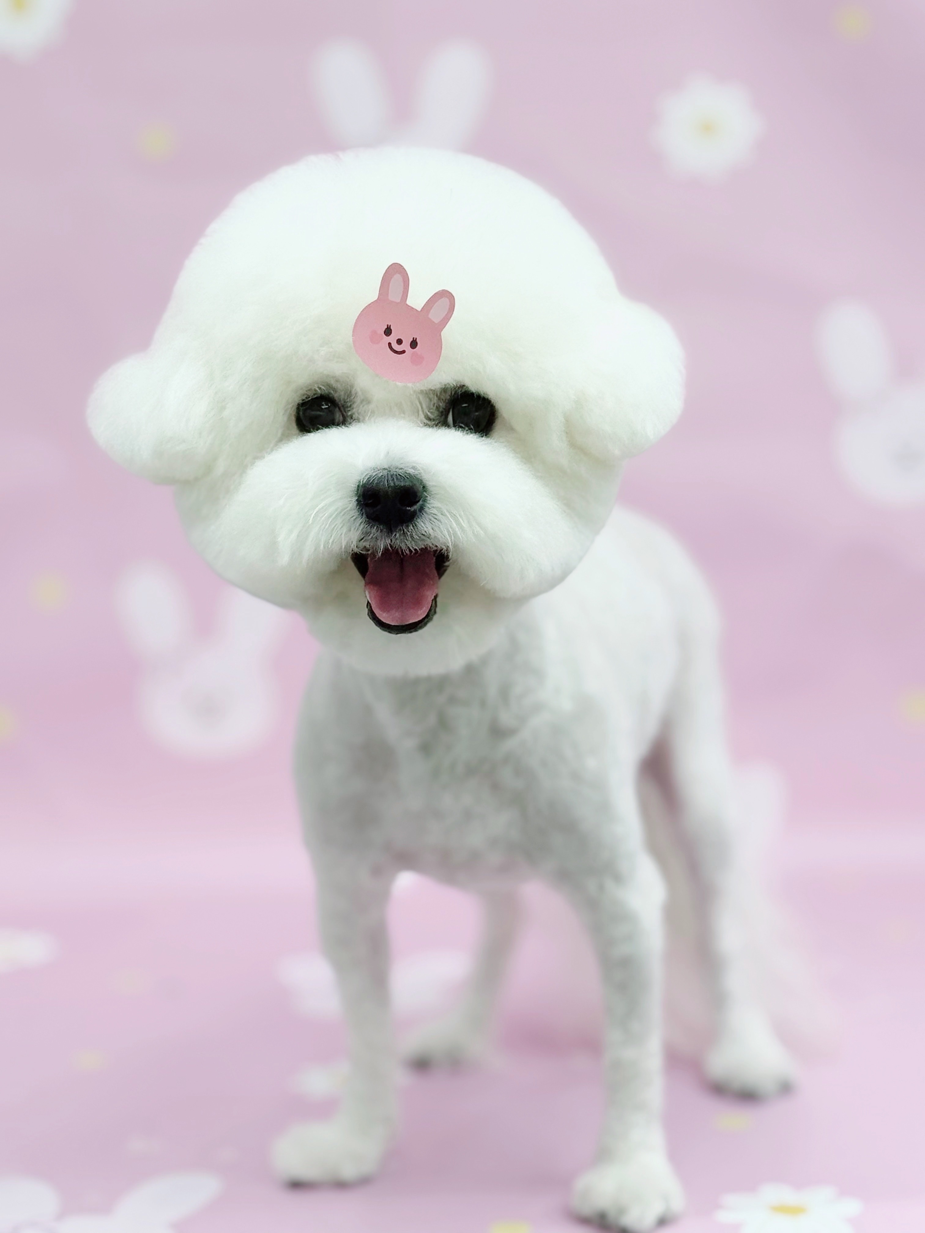 멍키즈 대표 이미지