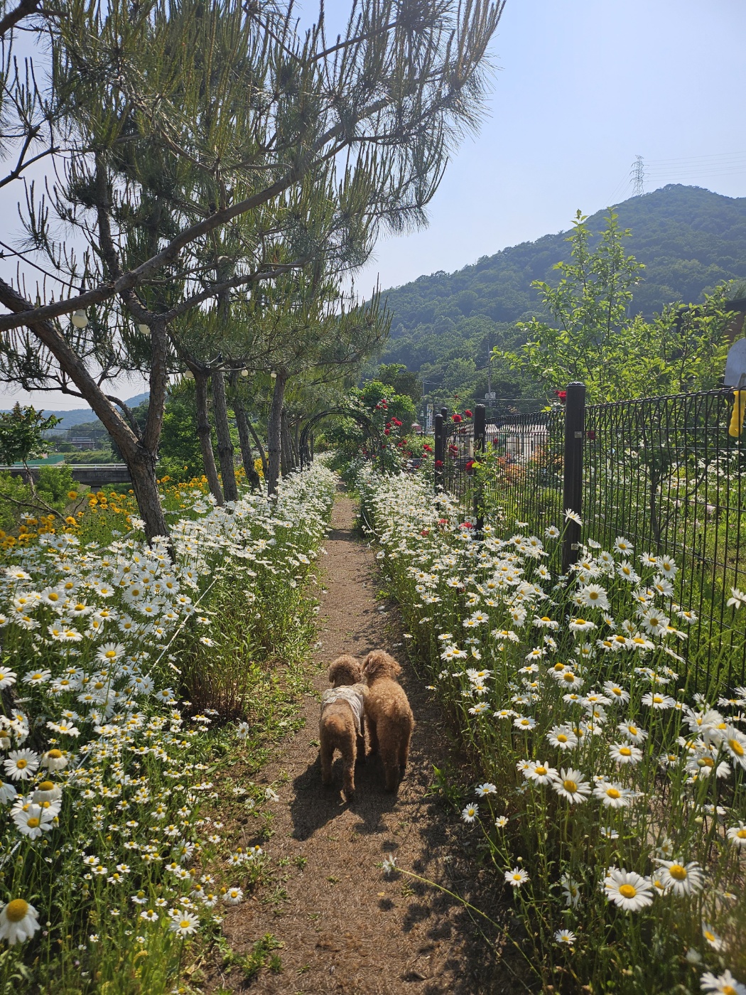명장시대 베이커리 대표 이미지