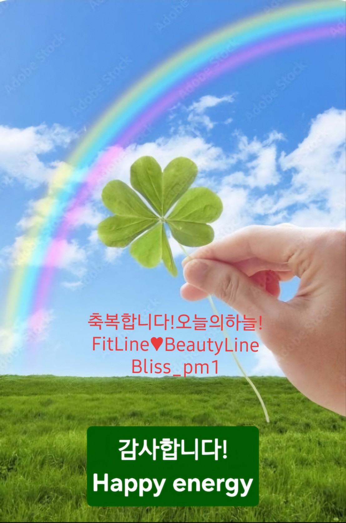 블리스 스킨바디