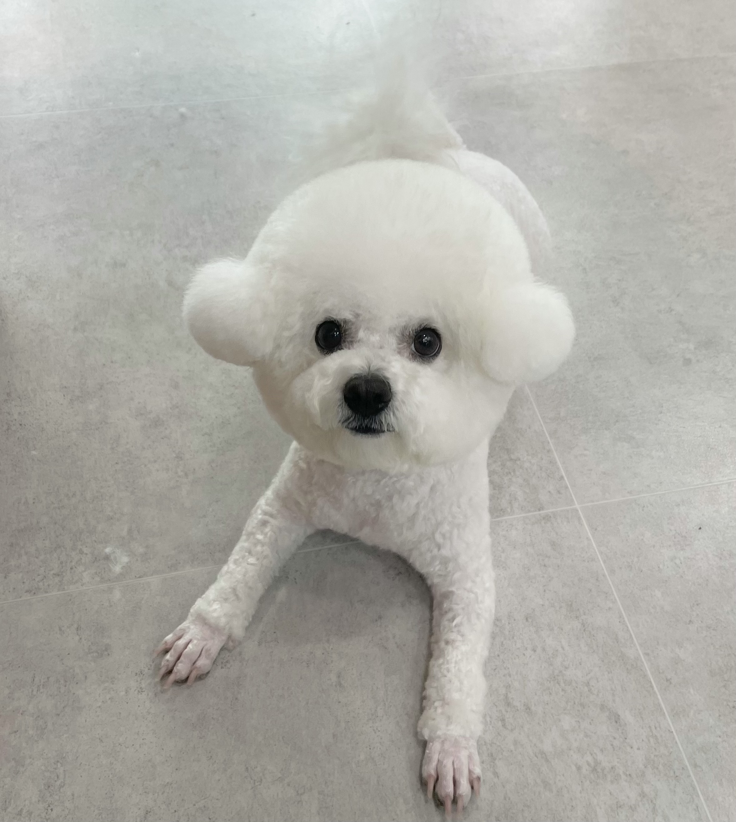 무거동 봄이네 대표 이미지