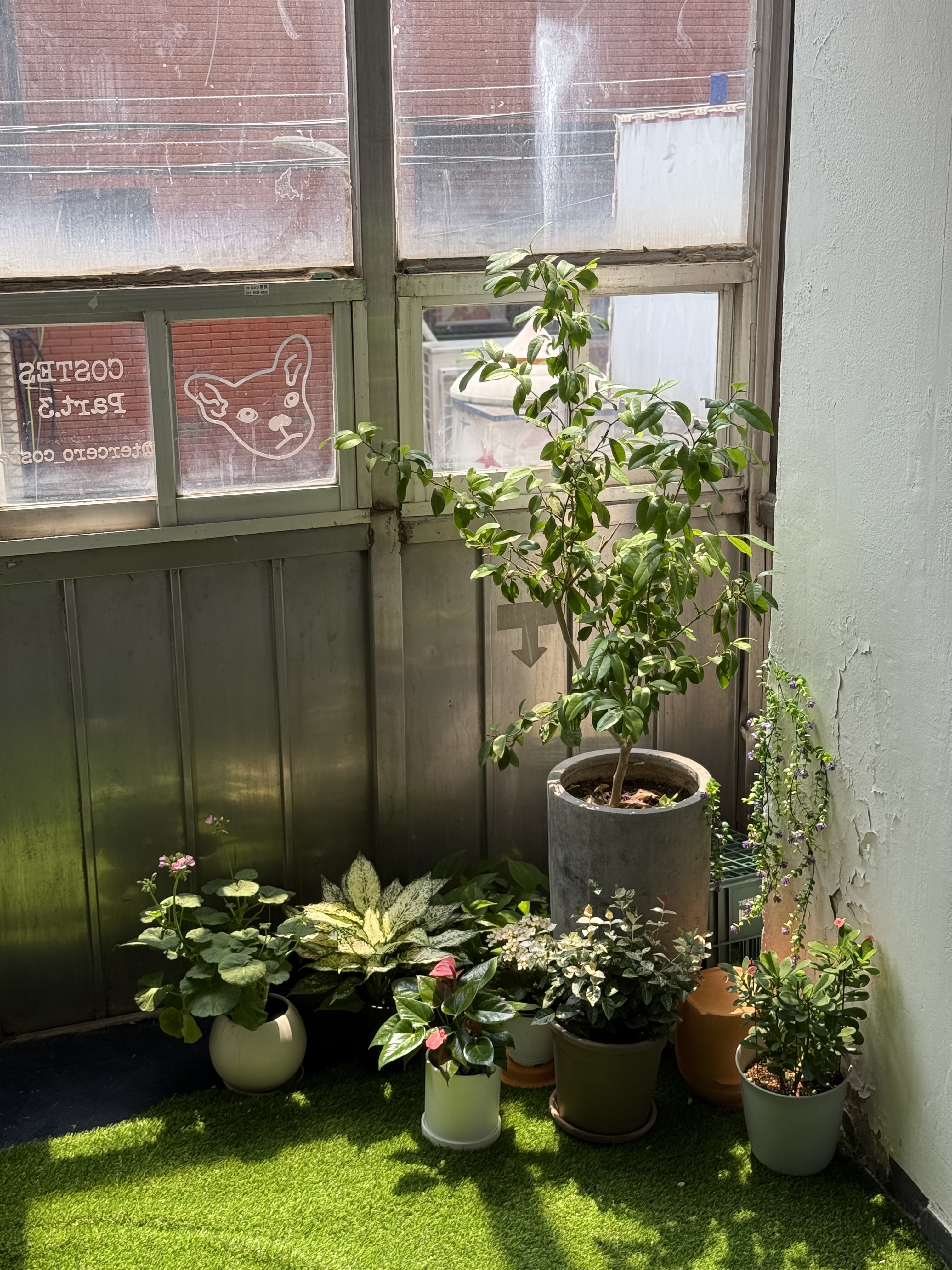 떼르세로 코스테스 대표 이미지