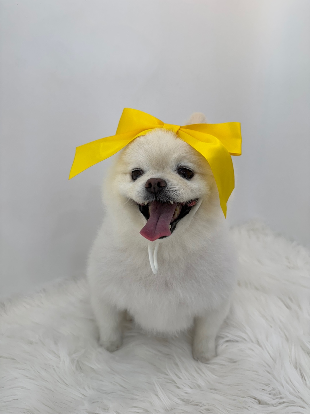 써니몽 대표 이미지