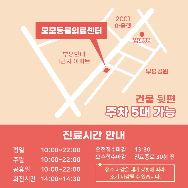 모모동물의료센터