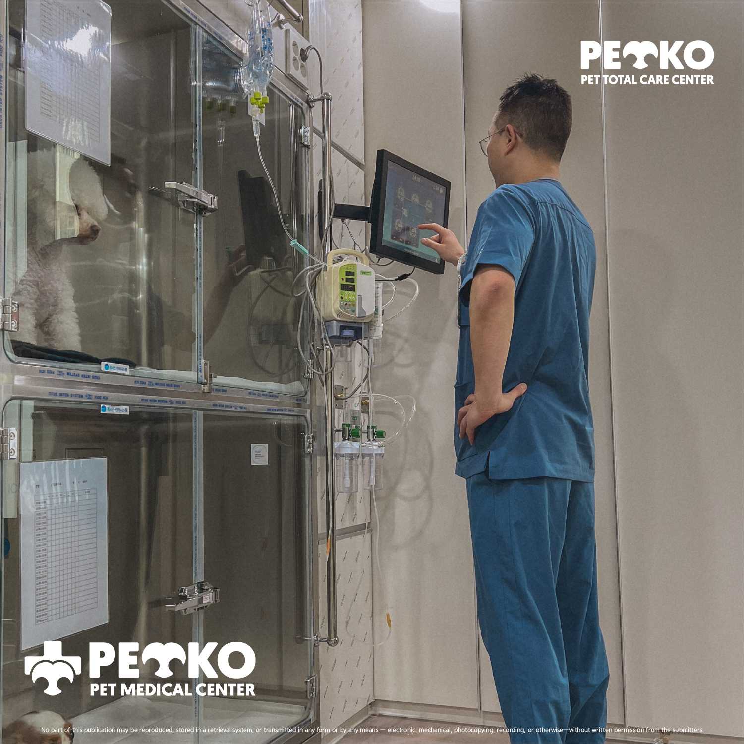 펫코도니아 대표 이미지