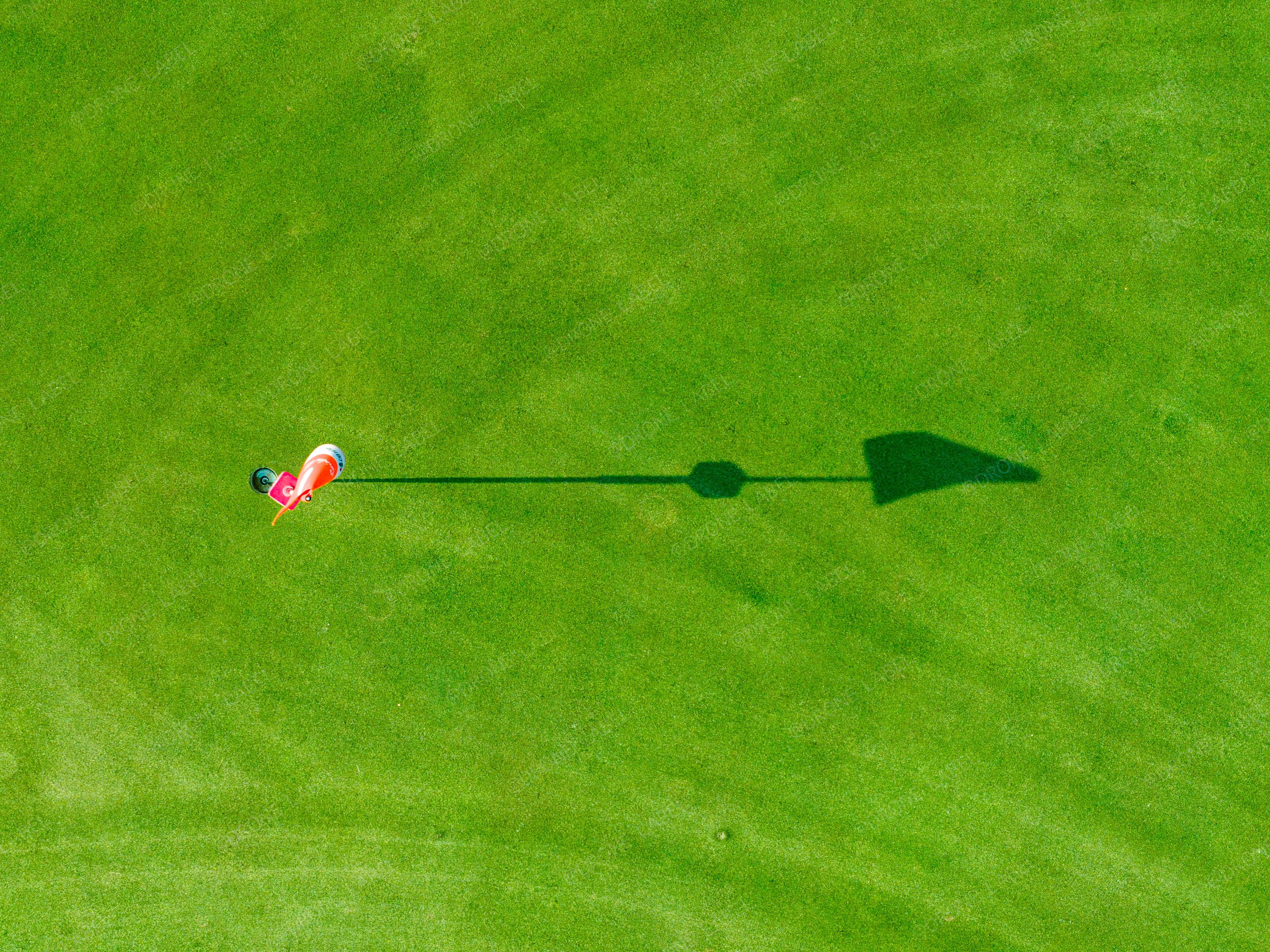 소년의꿈 대표 이미지