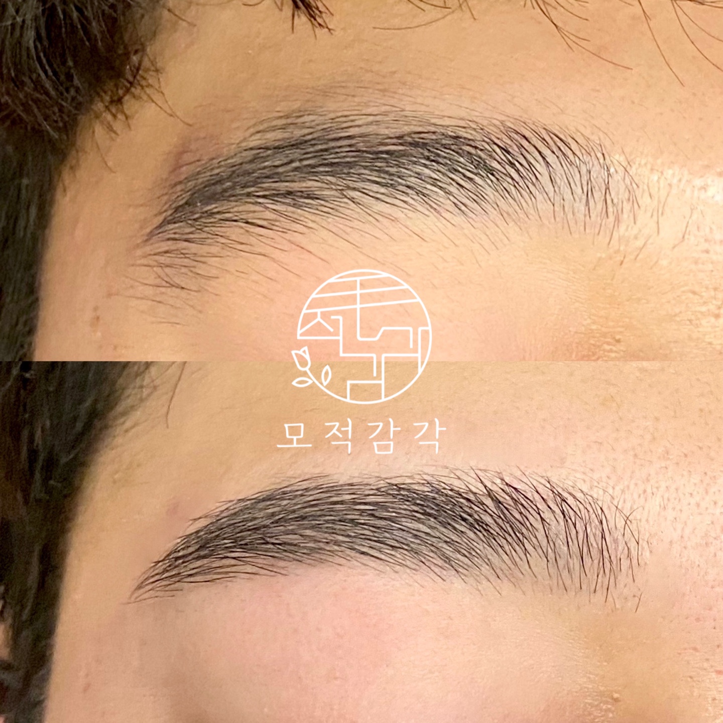 모적감각 대표 이미지