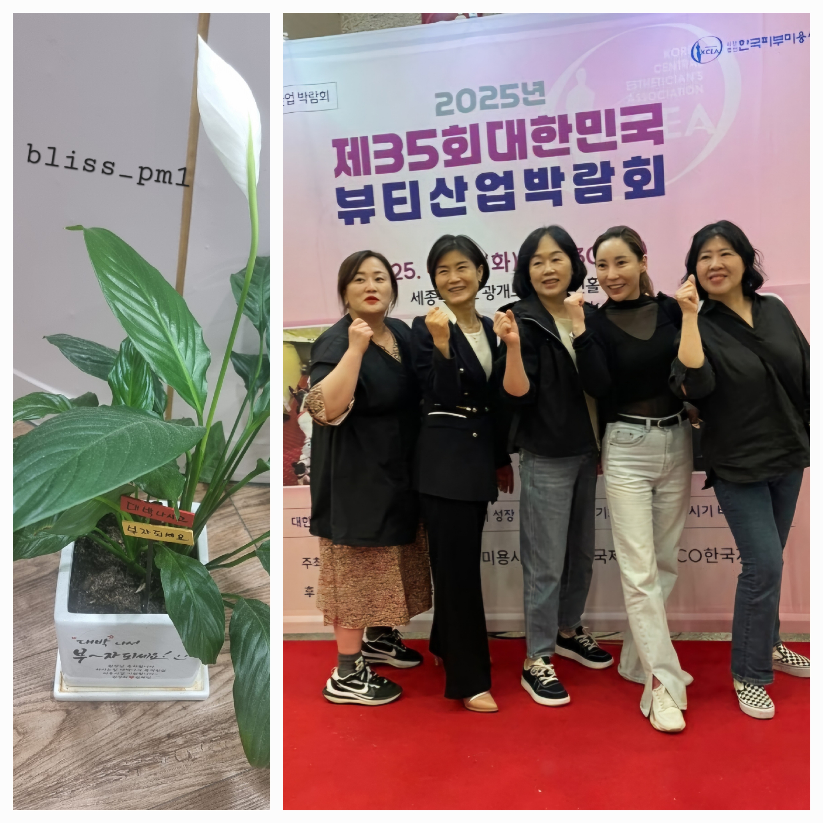블리스 스킨바디