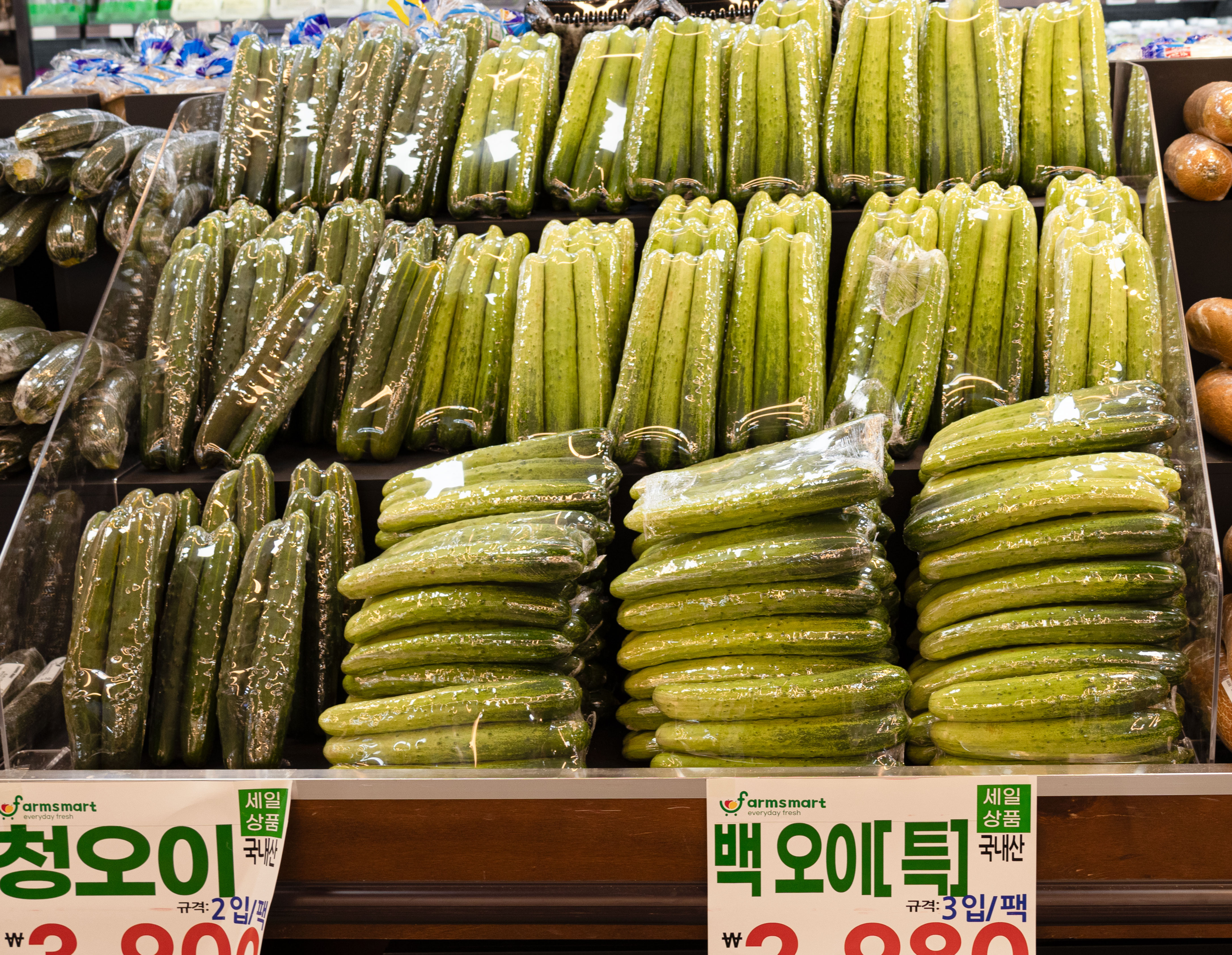 팜스식자재마트 GTX점