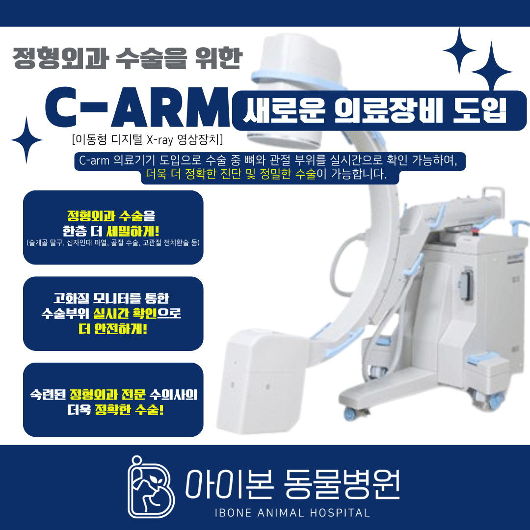 아이본동물병원 대표 이미지
