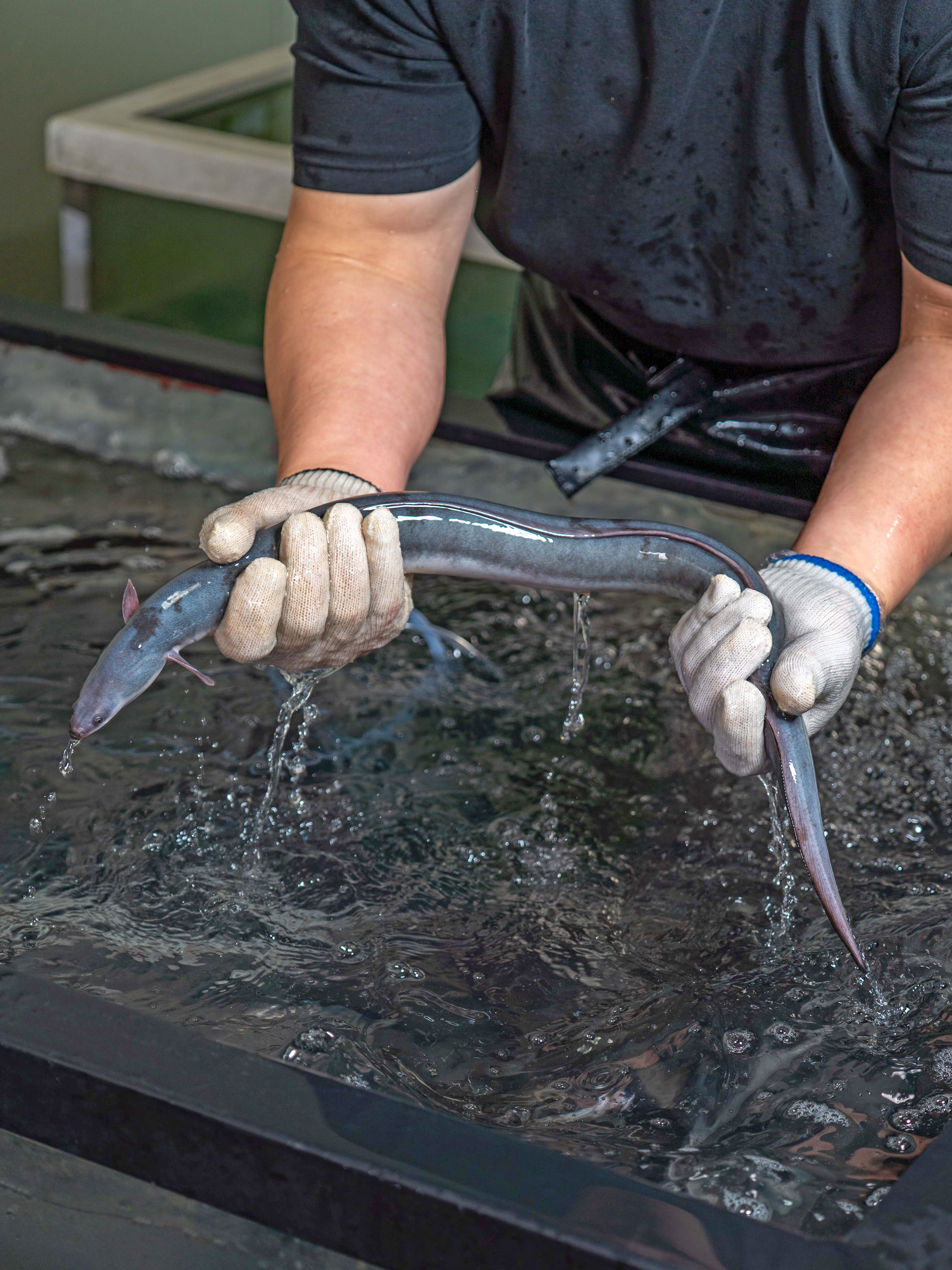 해품장팔팔장어 대표 이미지