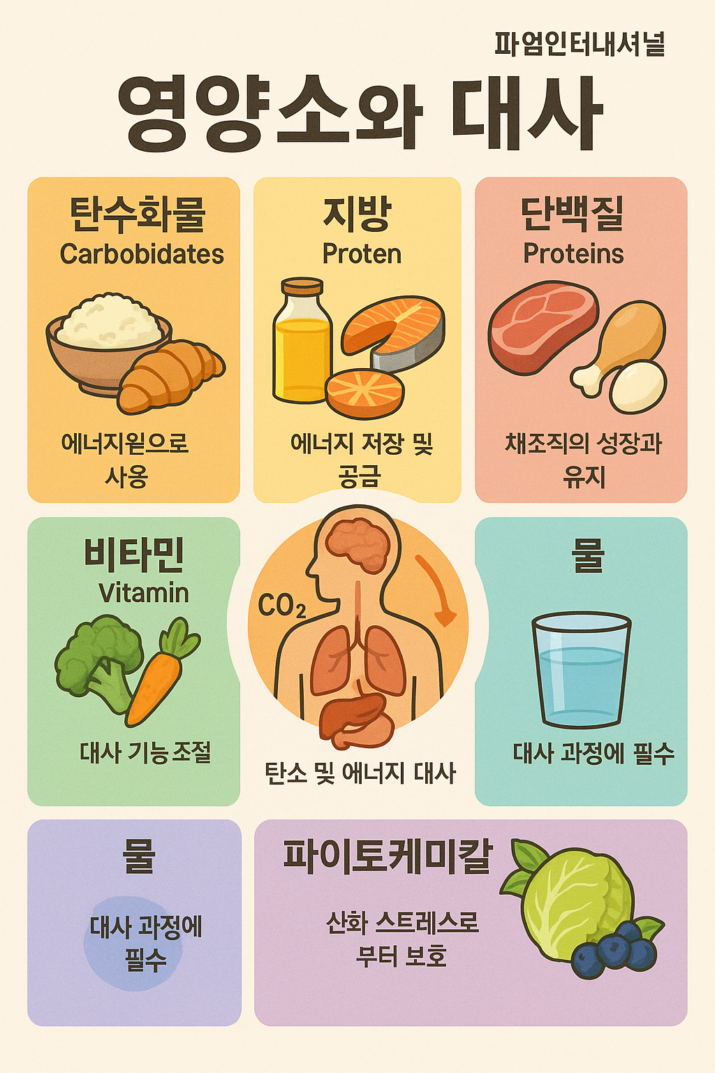 블리스 스킨바디