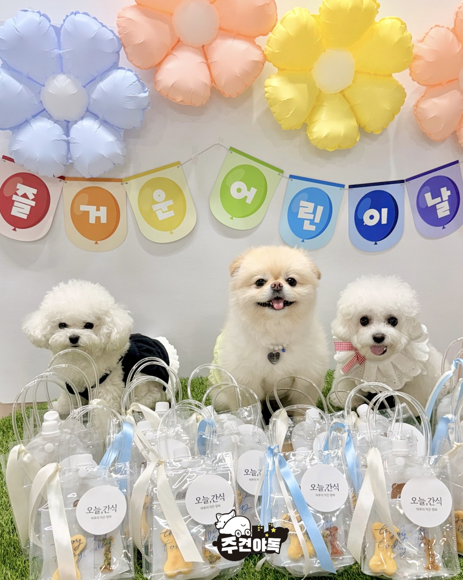 주견야독 반려동물 동반 애견카페