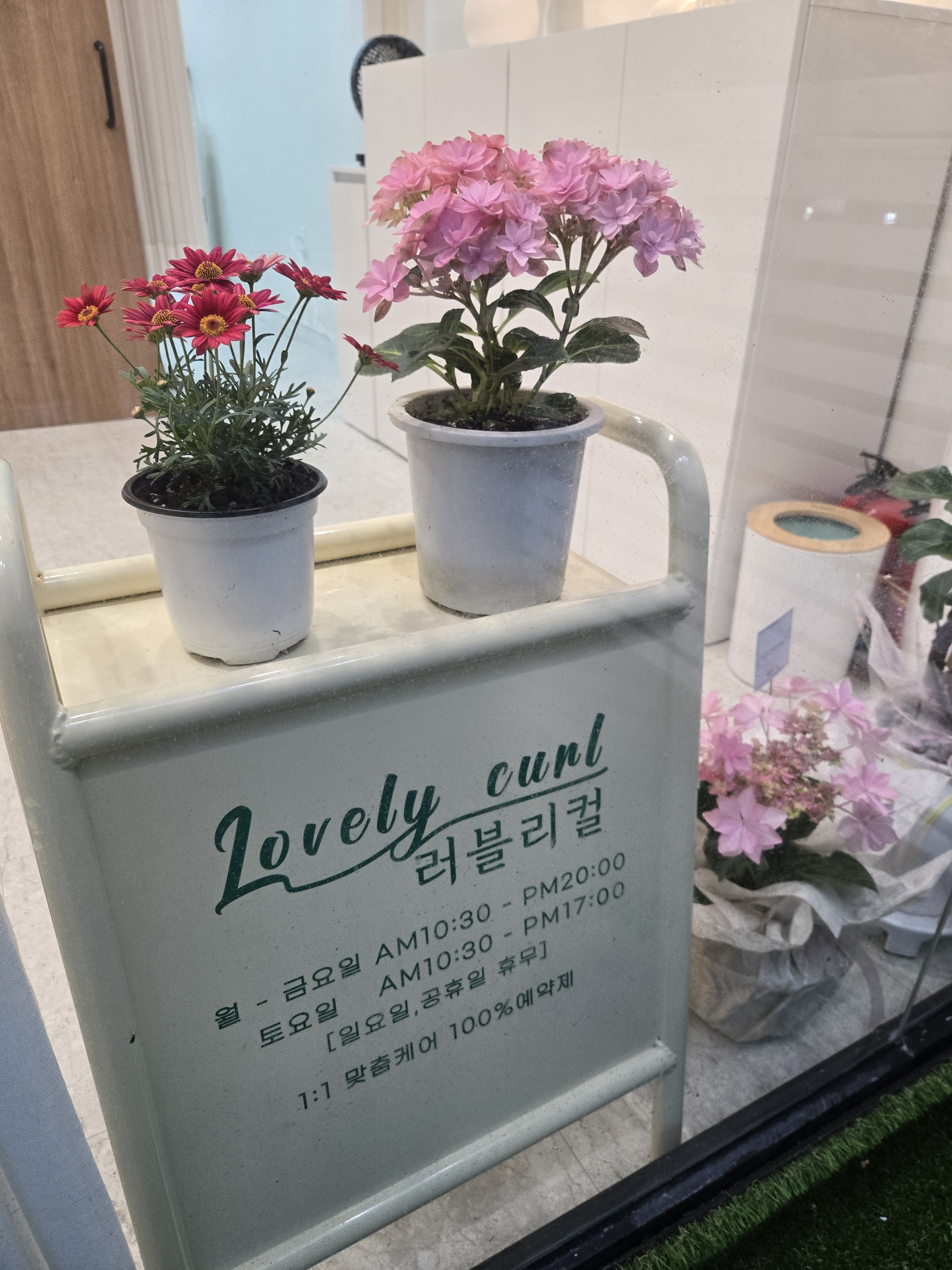 러블리컬 대표 이미지