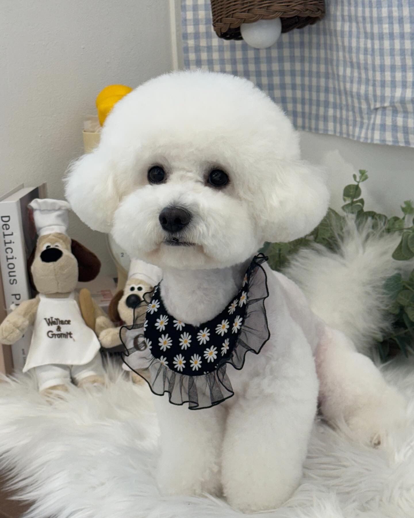 위드뚜뚜 대표 이미지