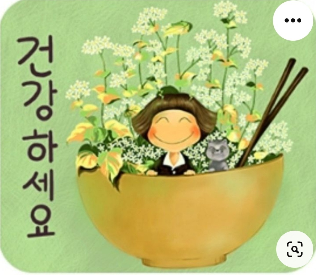 블리스 스킨바디