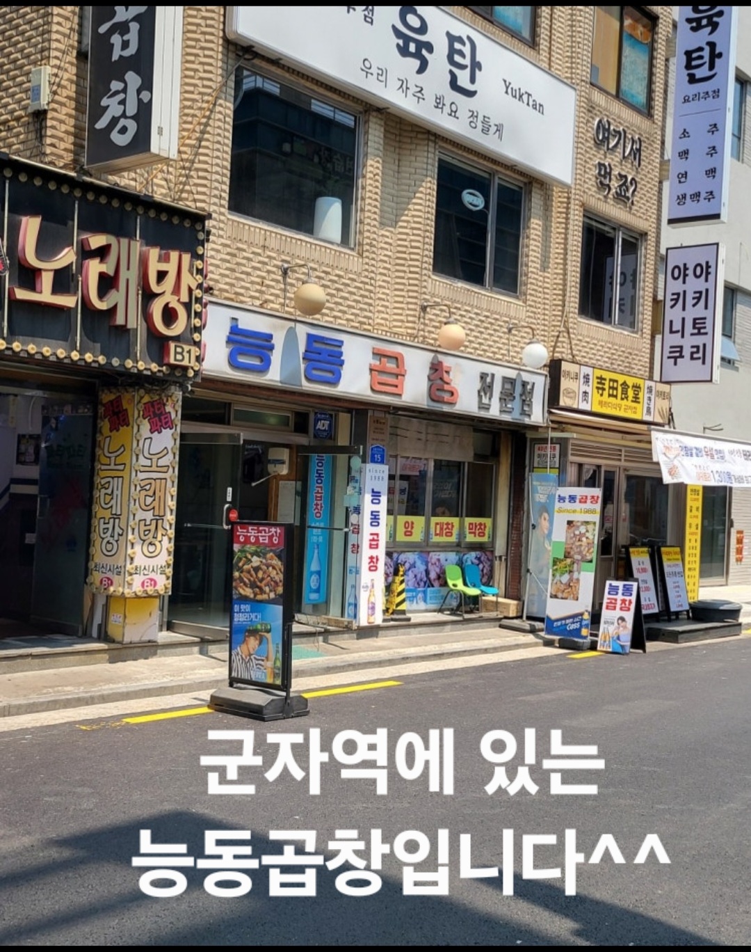 능동곱창