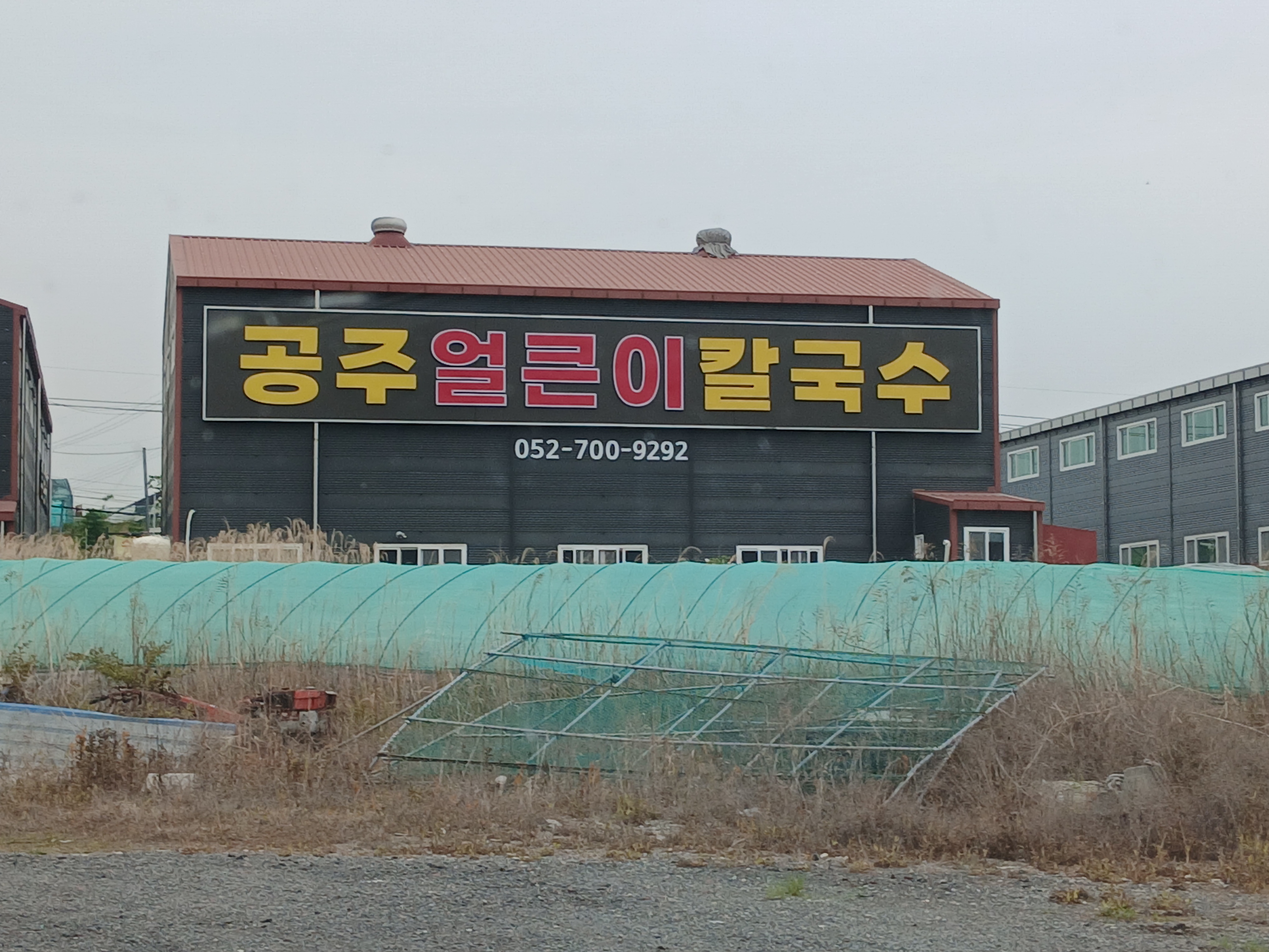 서생공주칼국수