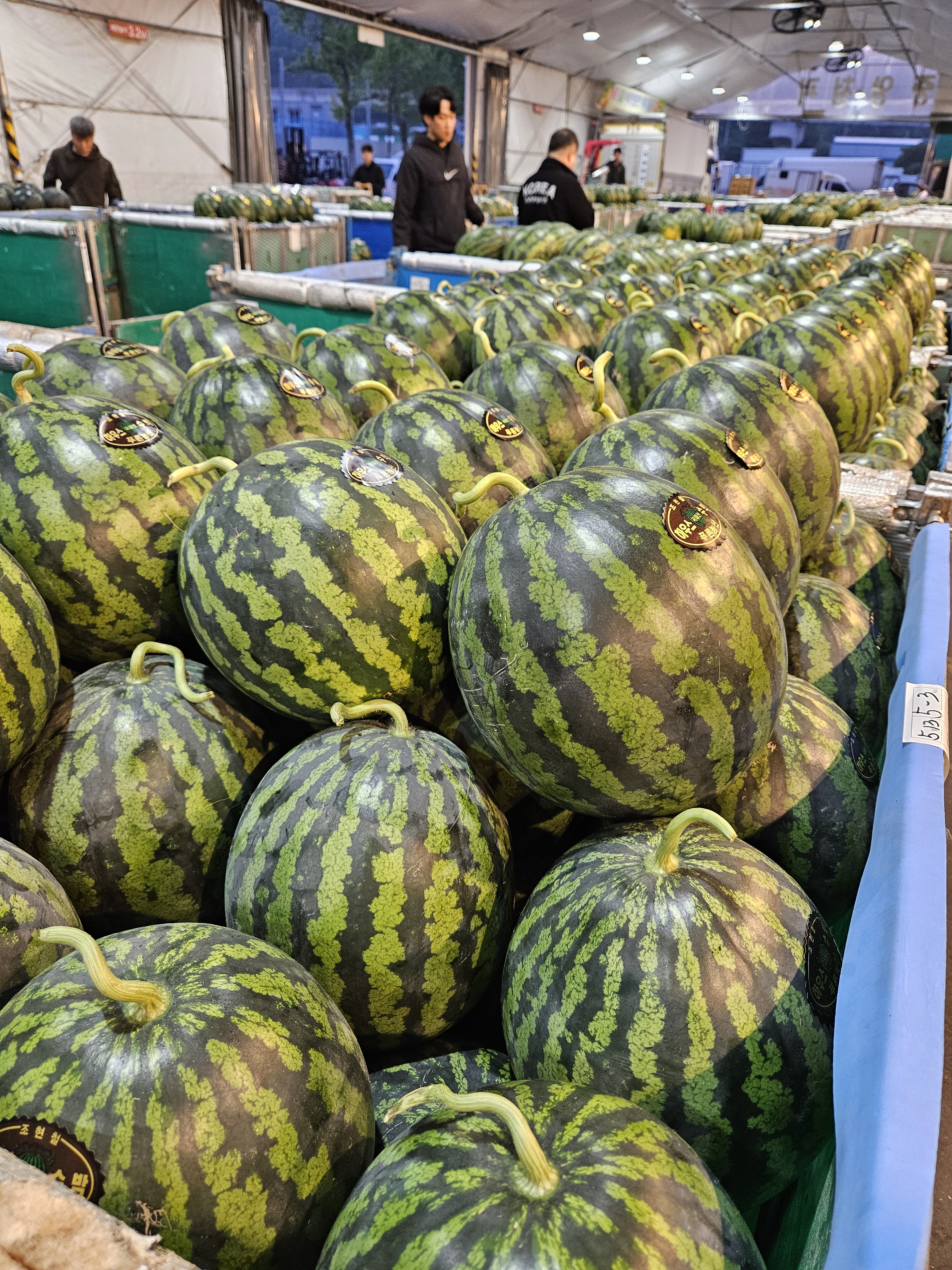 흥한과일 통영점