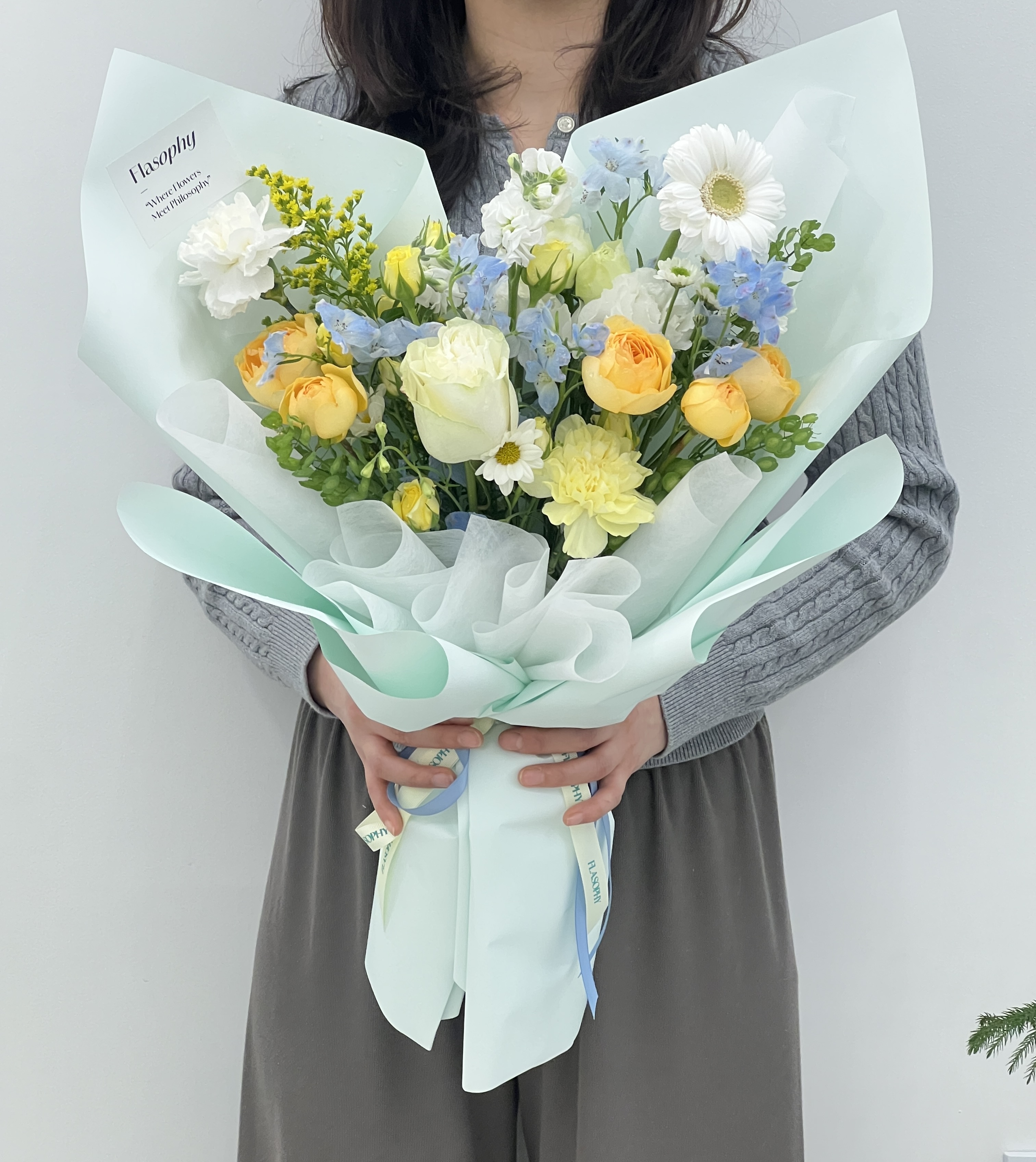 플라소피