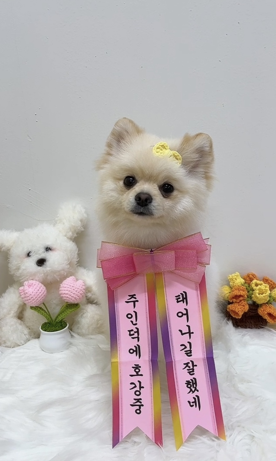 공간페로 대표 이미지