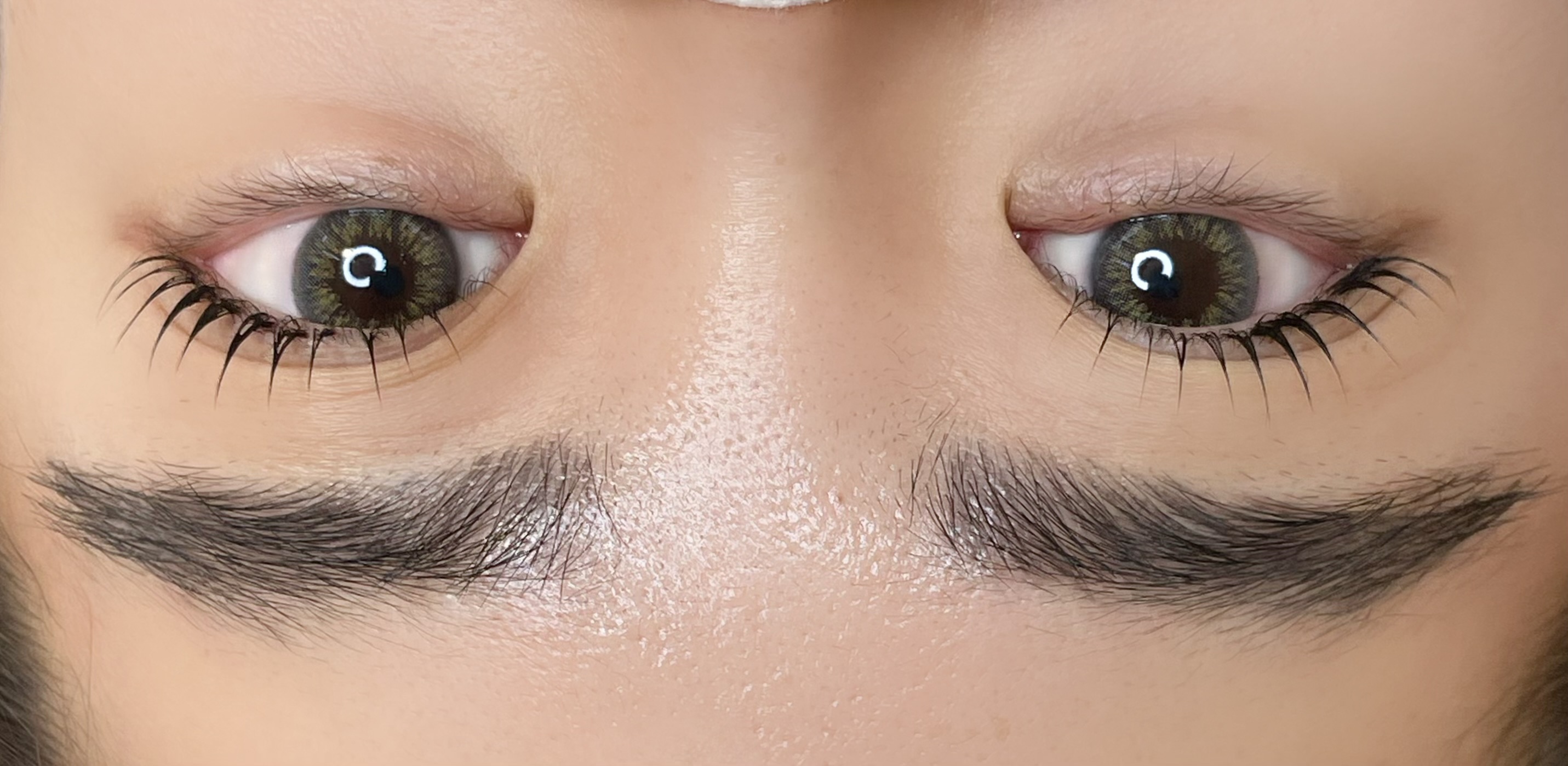 로베라인 대표 이미지