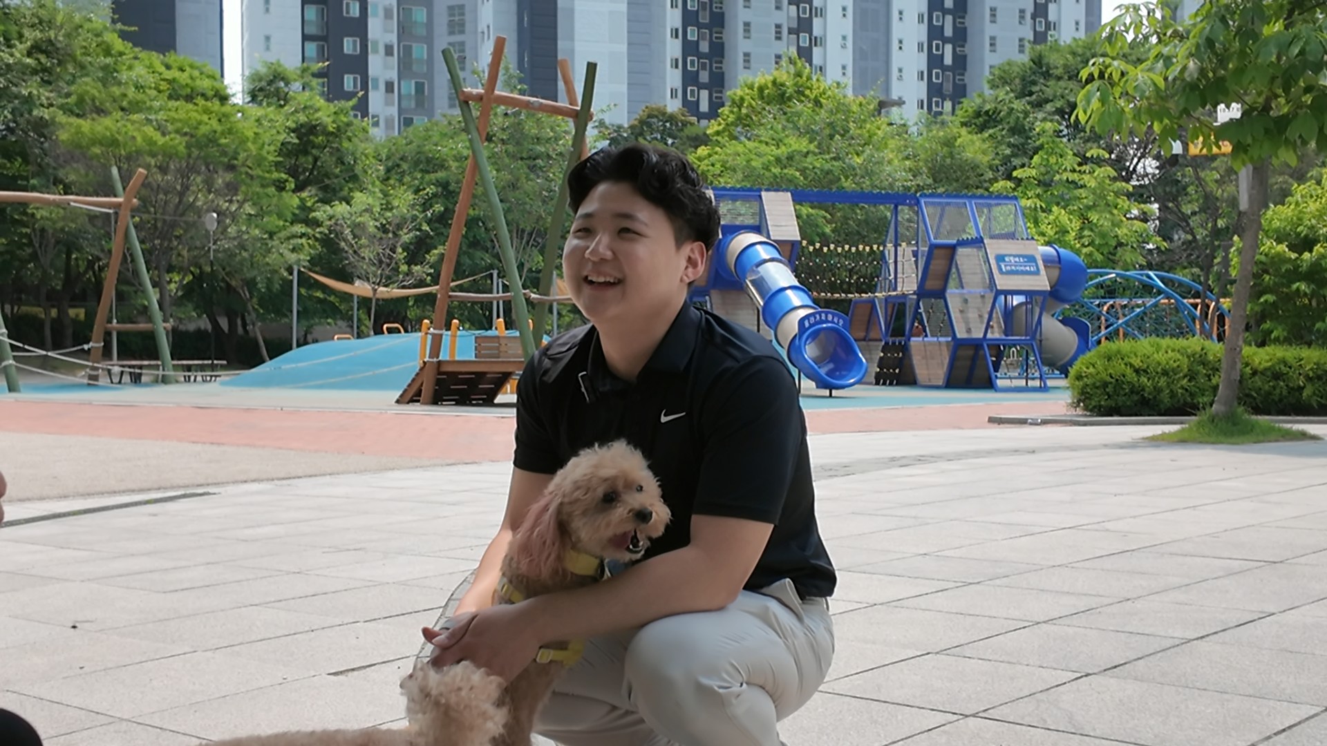 전탁훈련사 강아지방문교육 애견호텔 대표 이미지