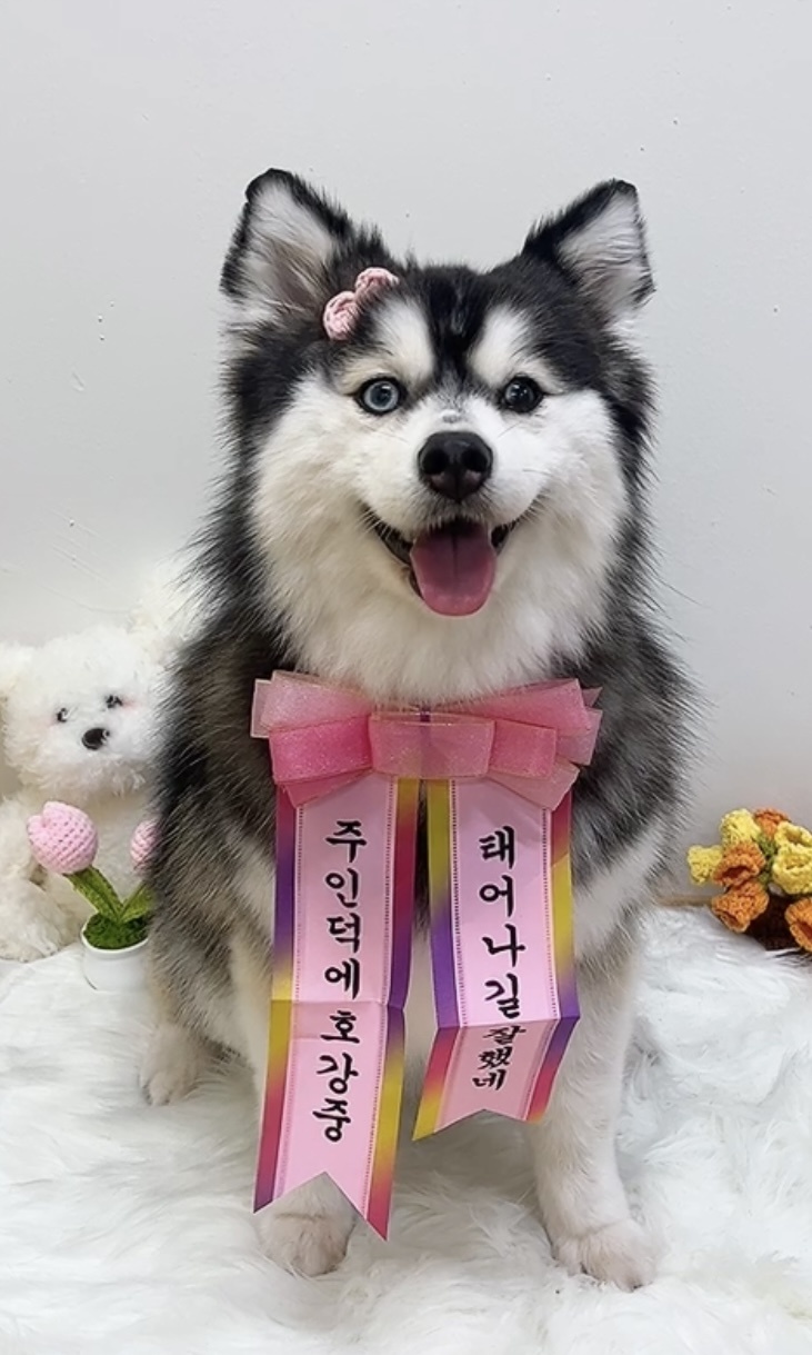 공간페로 대표 이미지