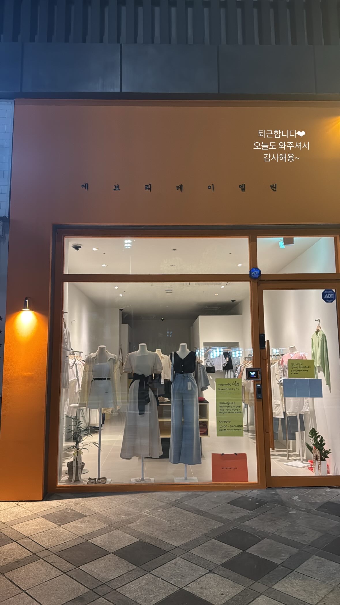 에브리데이엘린 세종