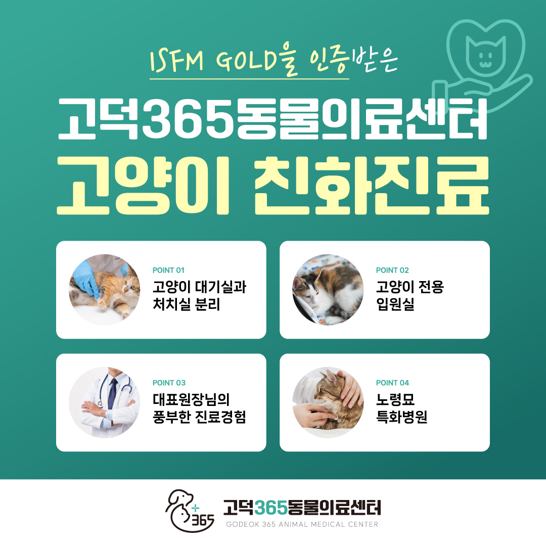 고덕365동물의료센터 대표 이미지