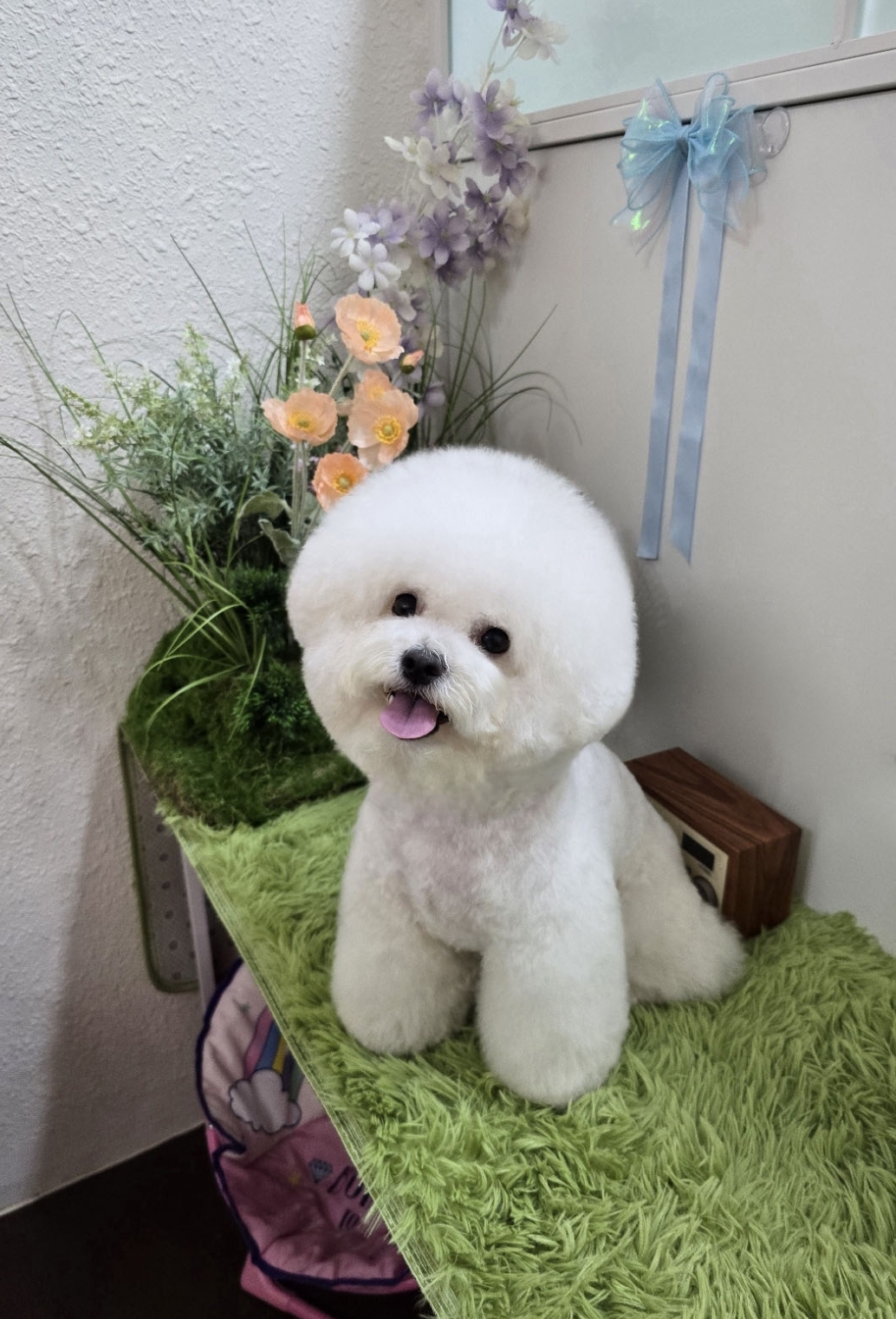 에바가위컷전문점 대표 이미지