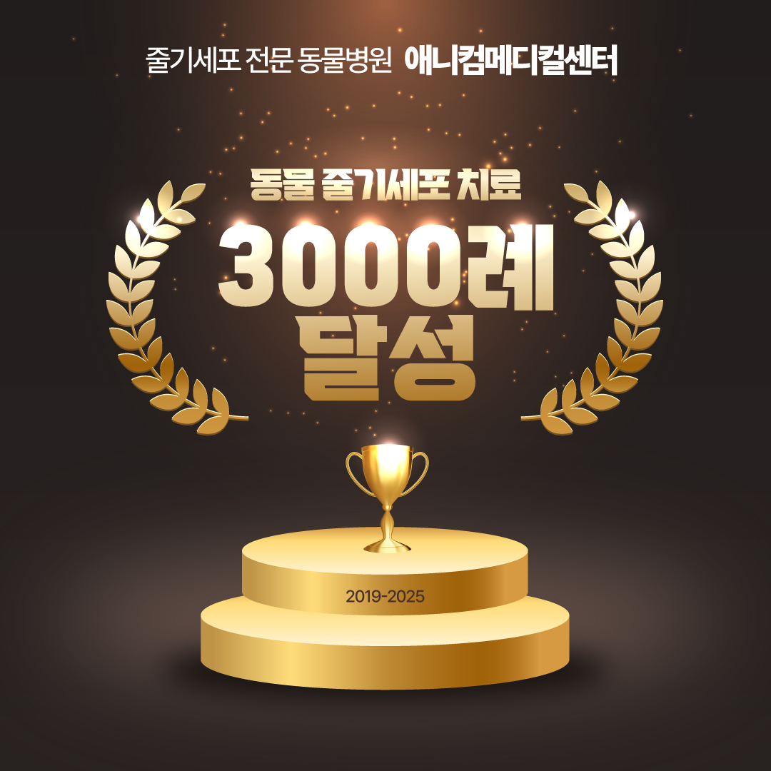 애니컴메디컬센터