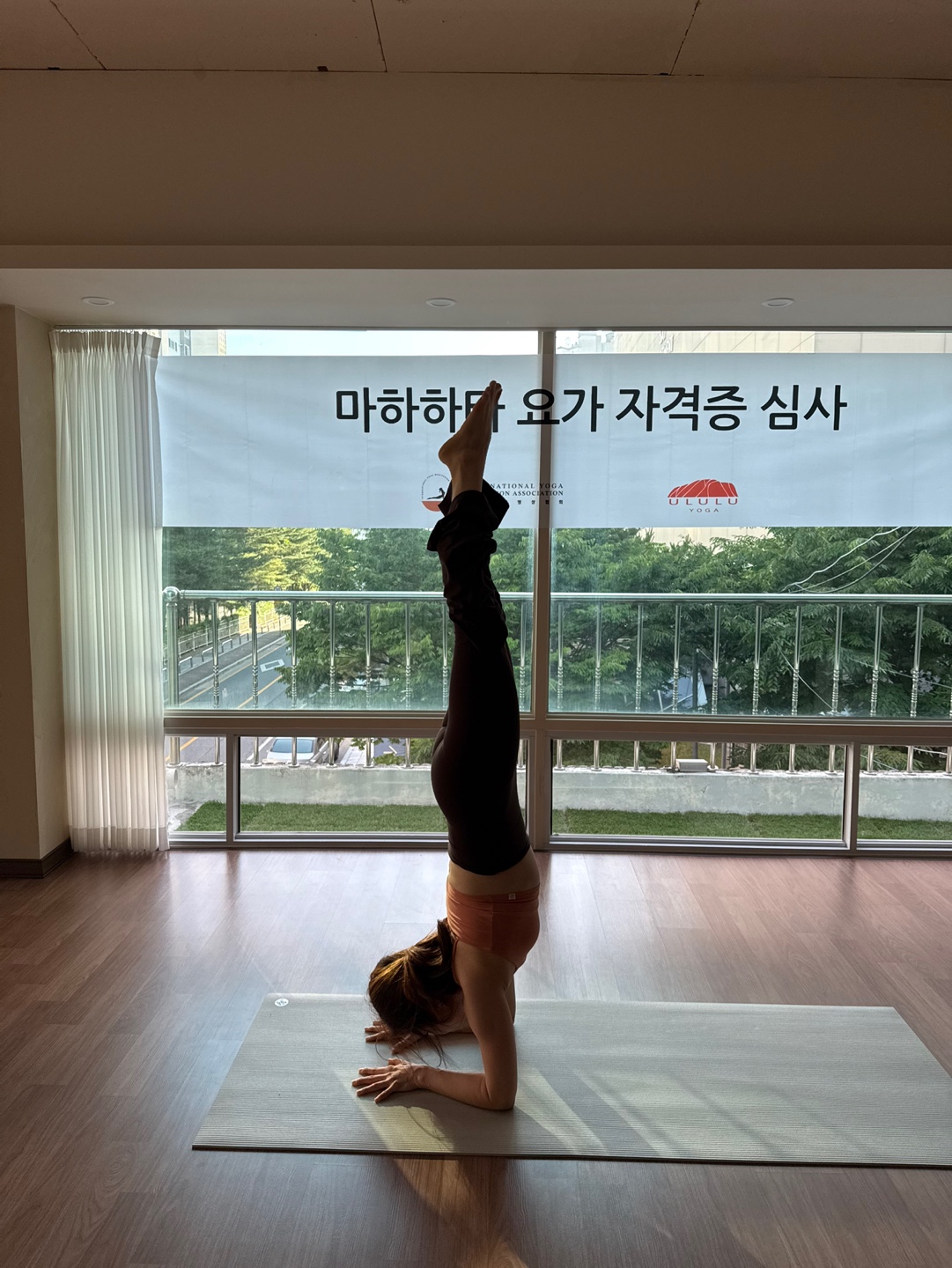 울루루요가 대전점 대표 이미지