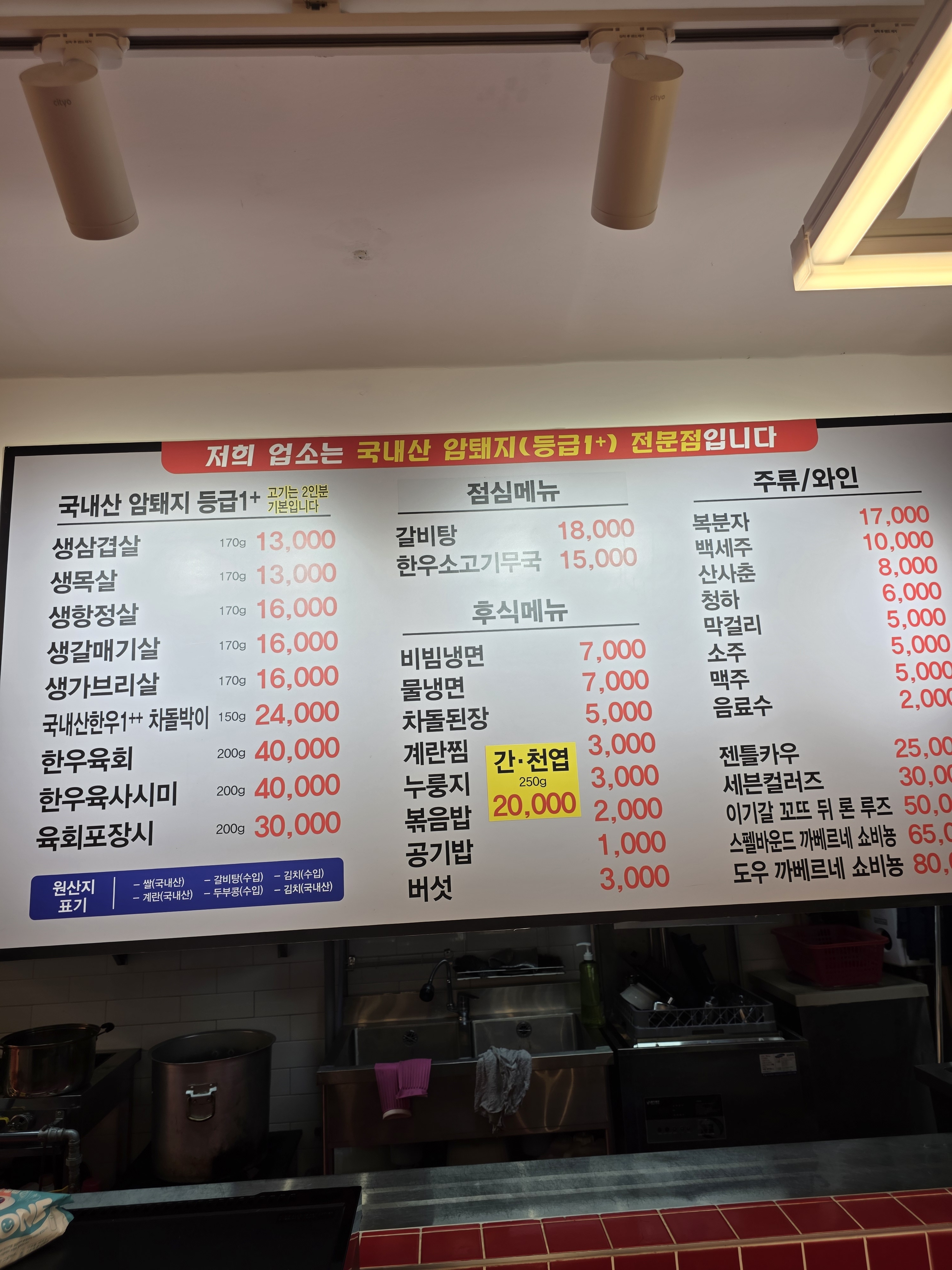 샵베네치아 전라 애견맛집