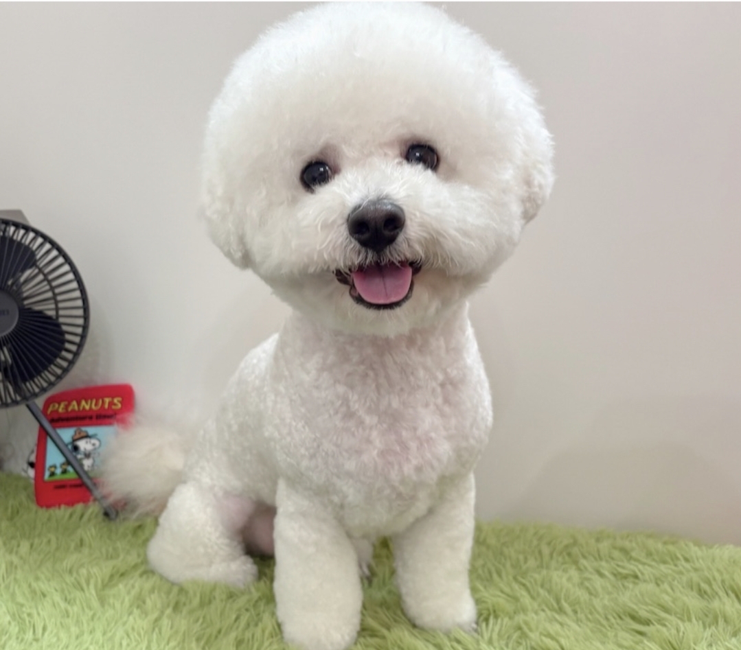 에바가위컷전문점 대표 이미지