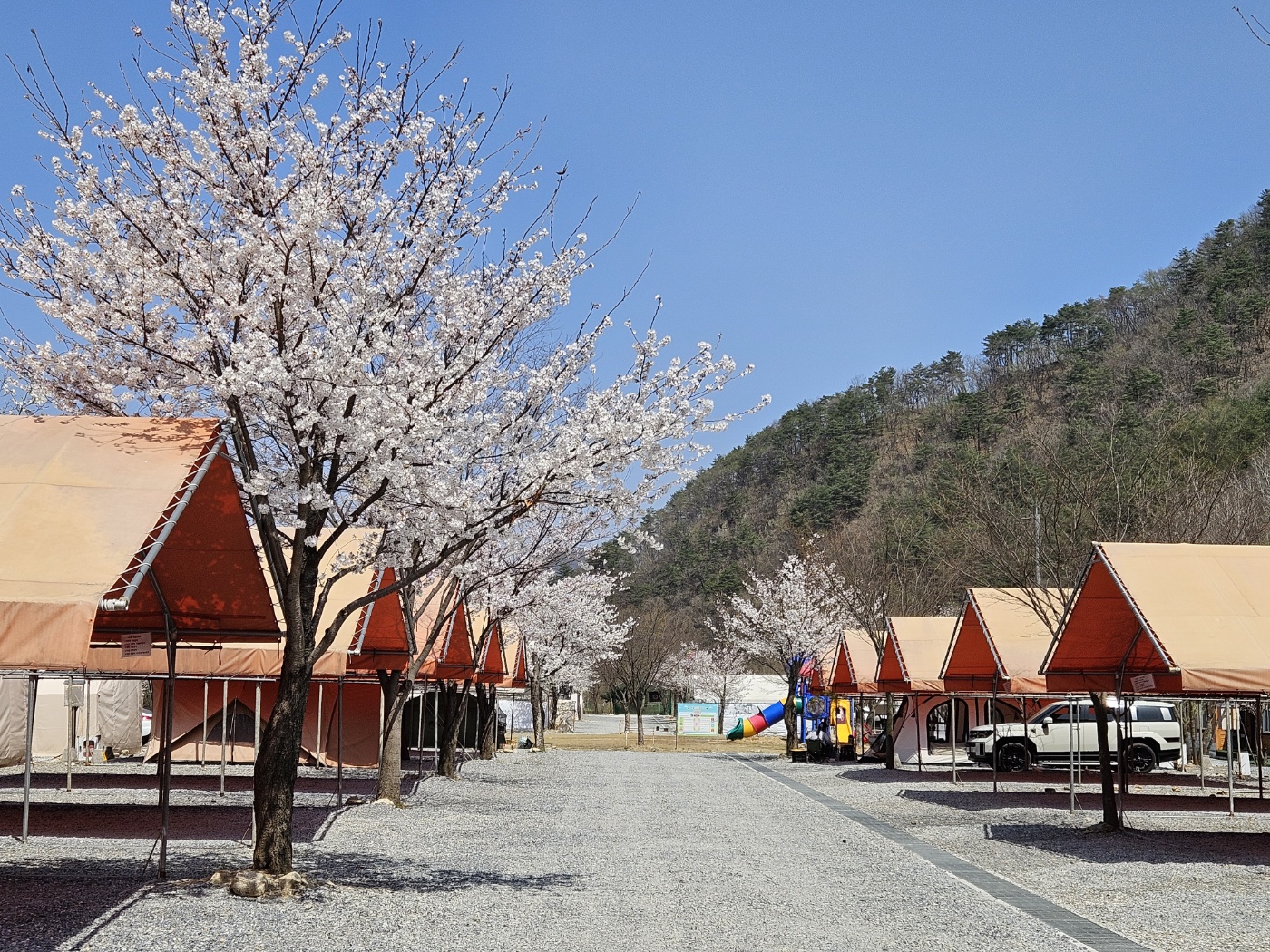캠핑장 사진