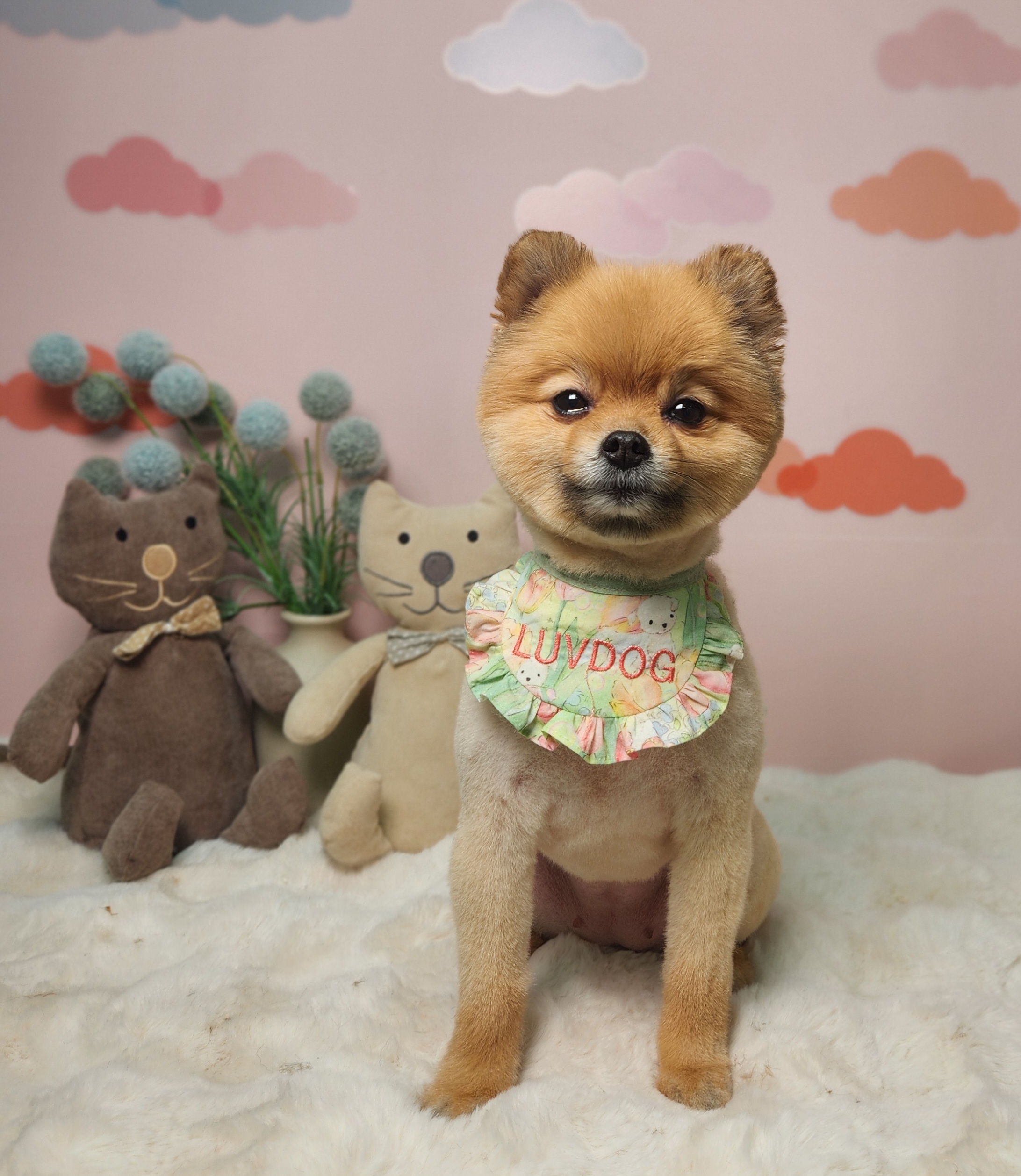 럽독 LUVDOG 대표 이미지