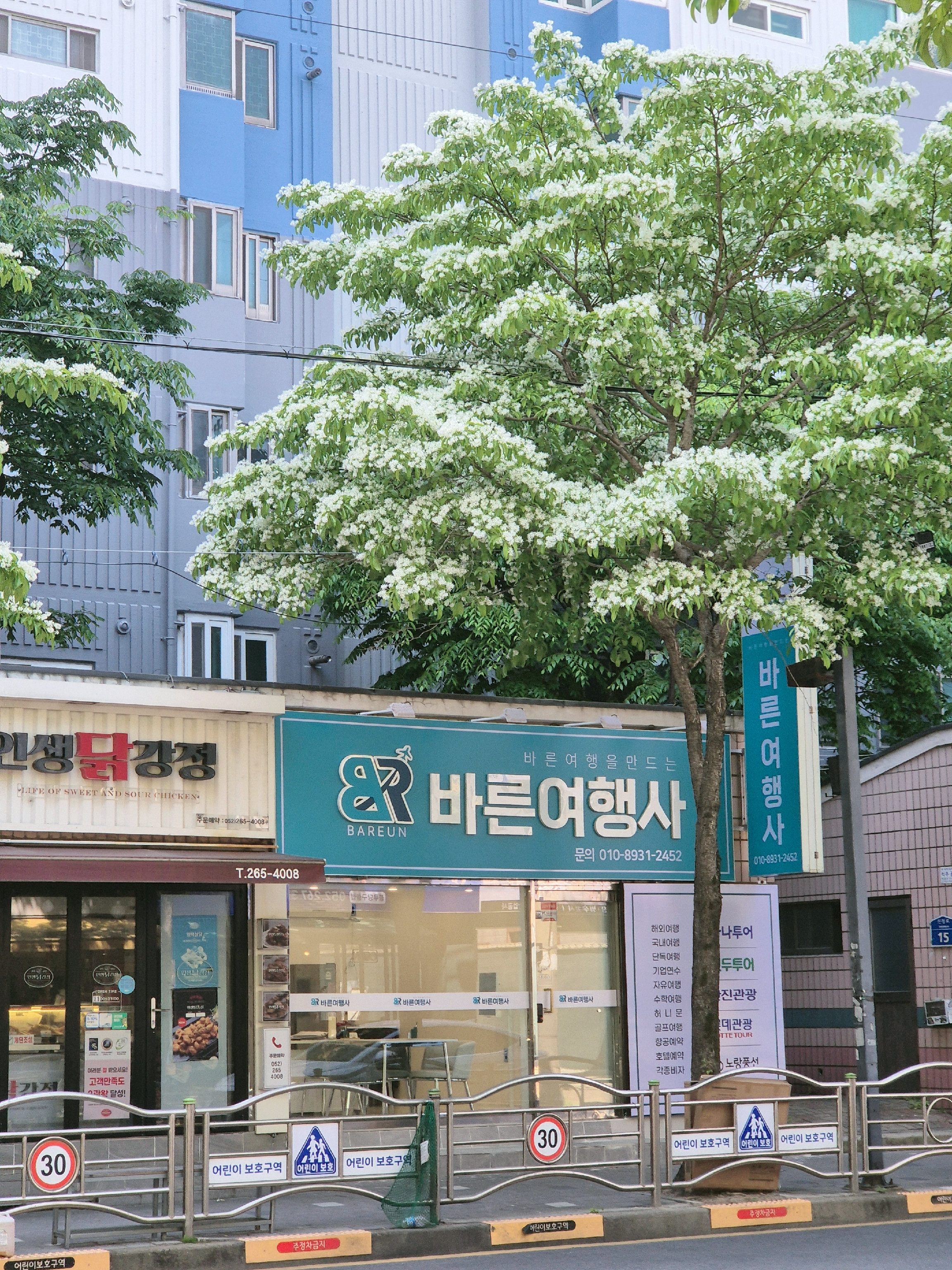 바른여행사