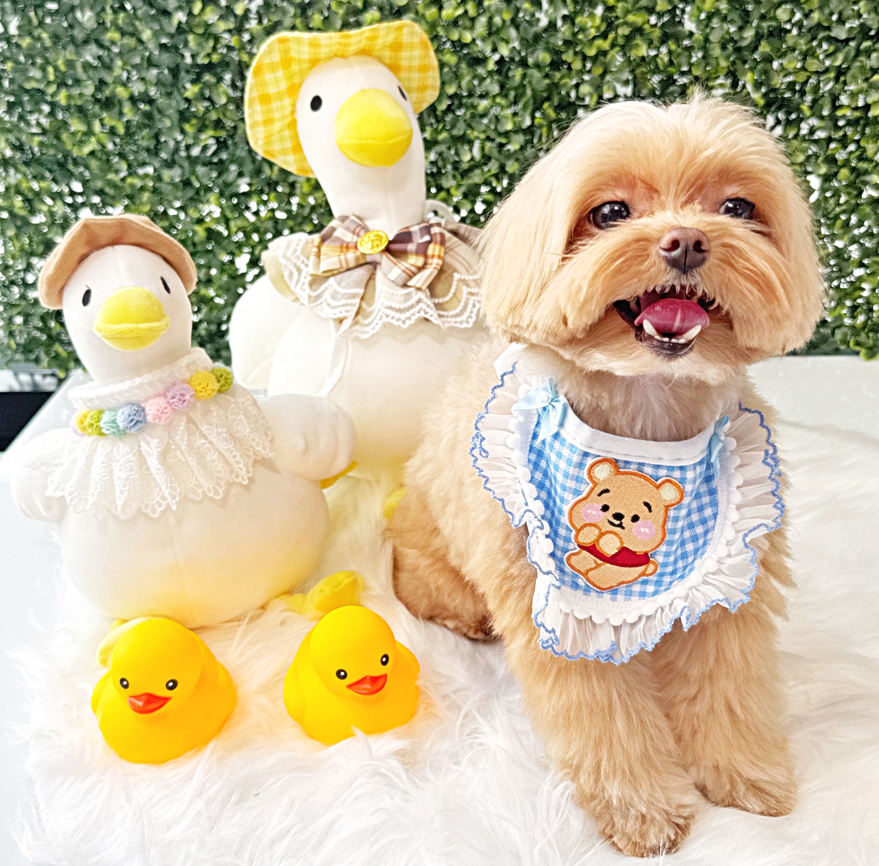 블링블링 슈가 대표 이미지