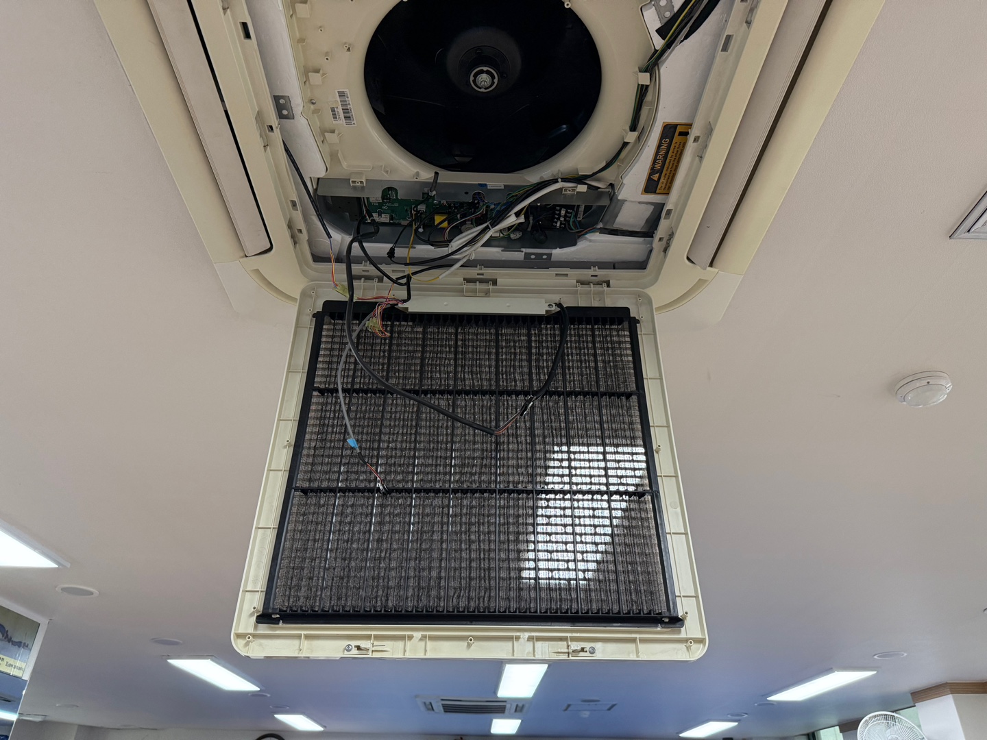 브리사홈케어 대표 이미지