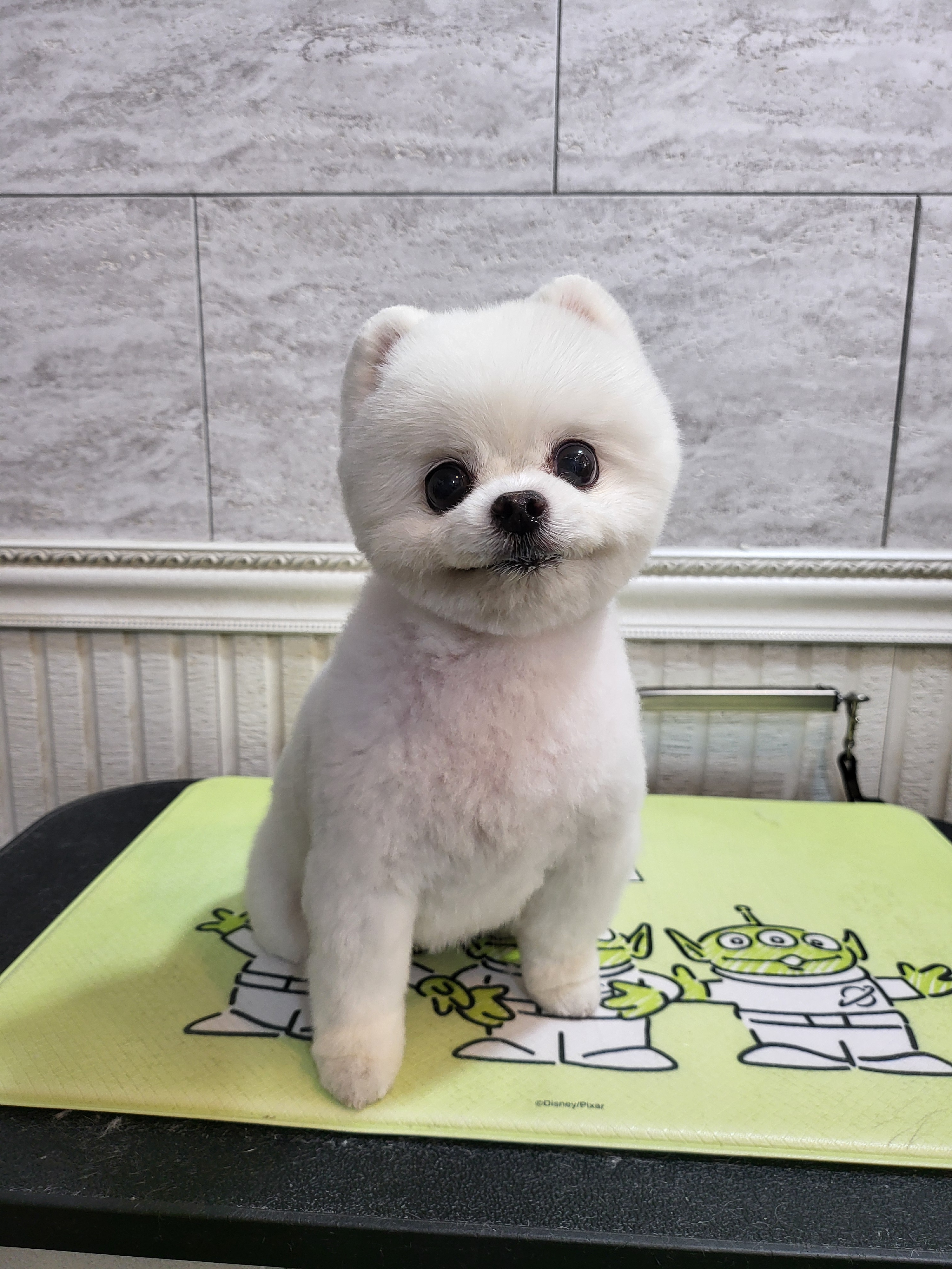 오구오구살롱 대표 이미지