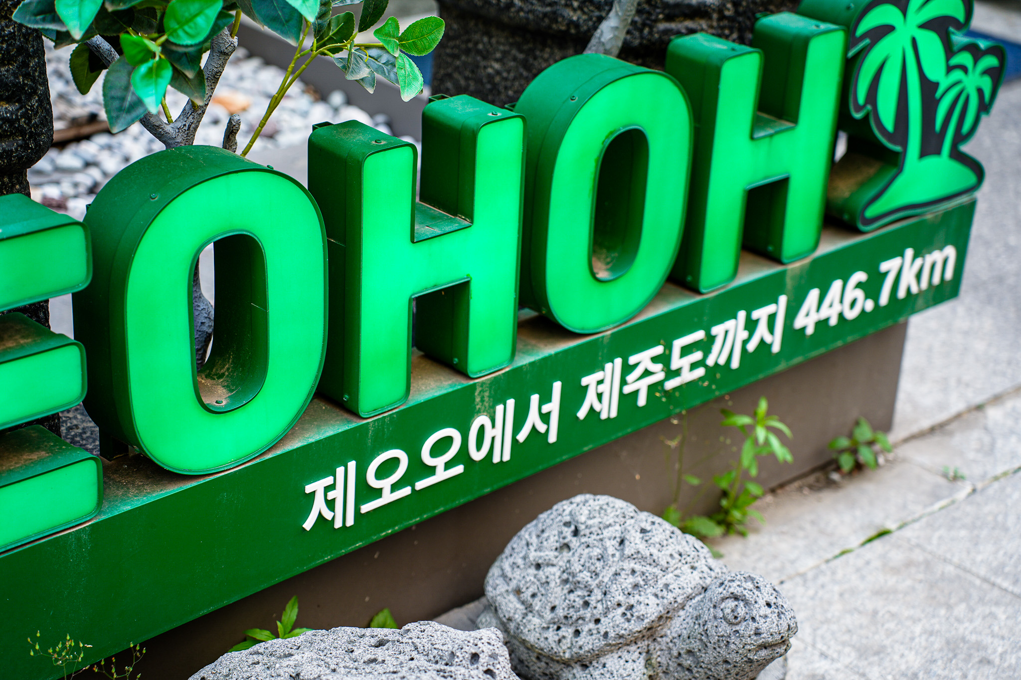 제오오 안양동편마을점 반려동물 동반 애견카페