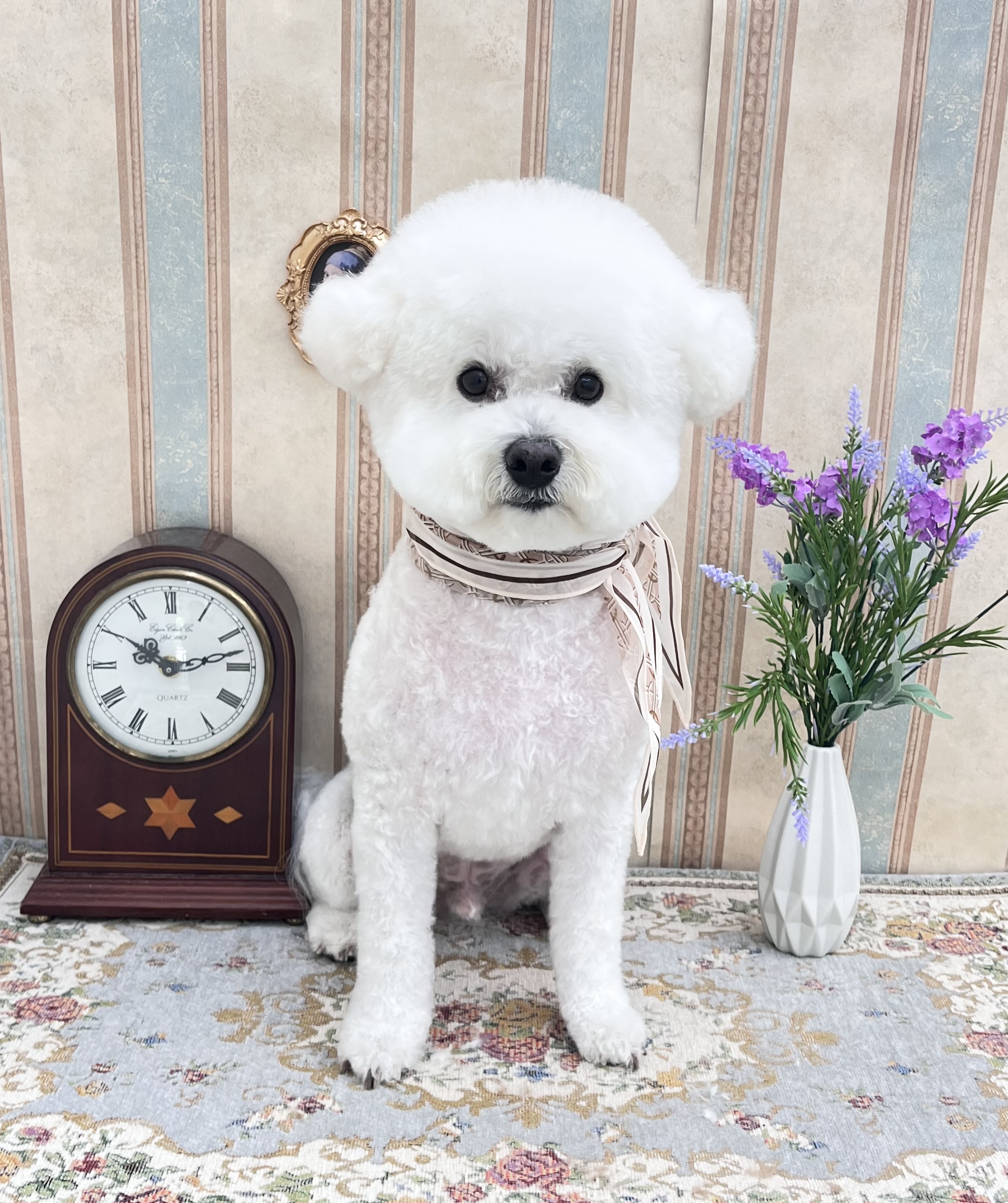행복한 산책 대표 이미지
