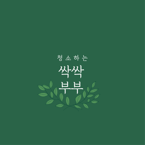 싹싹부부클린