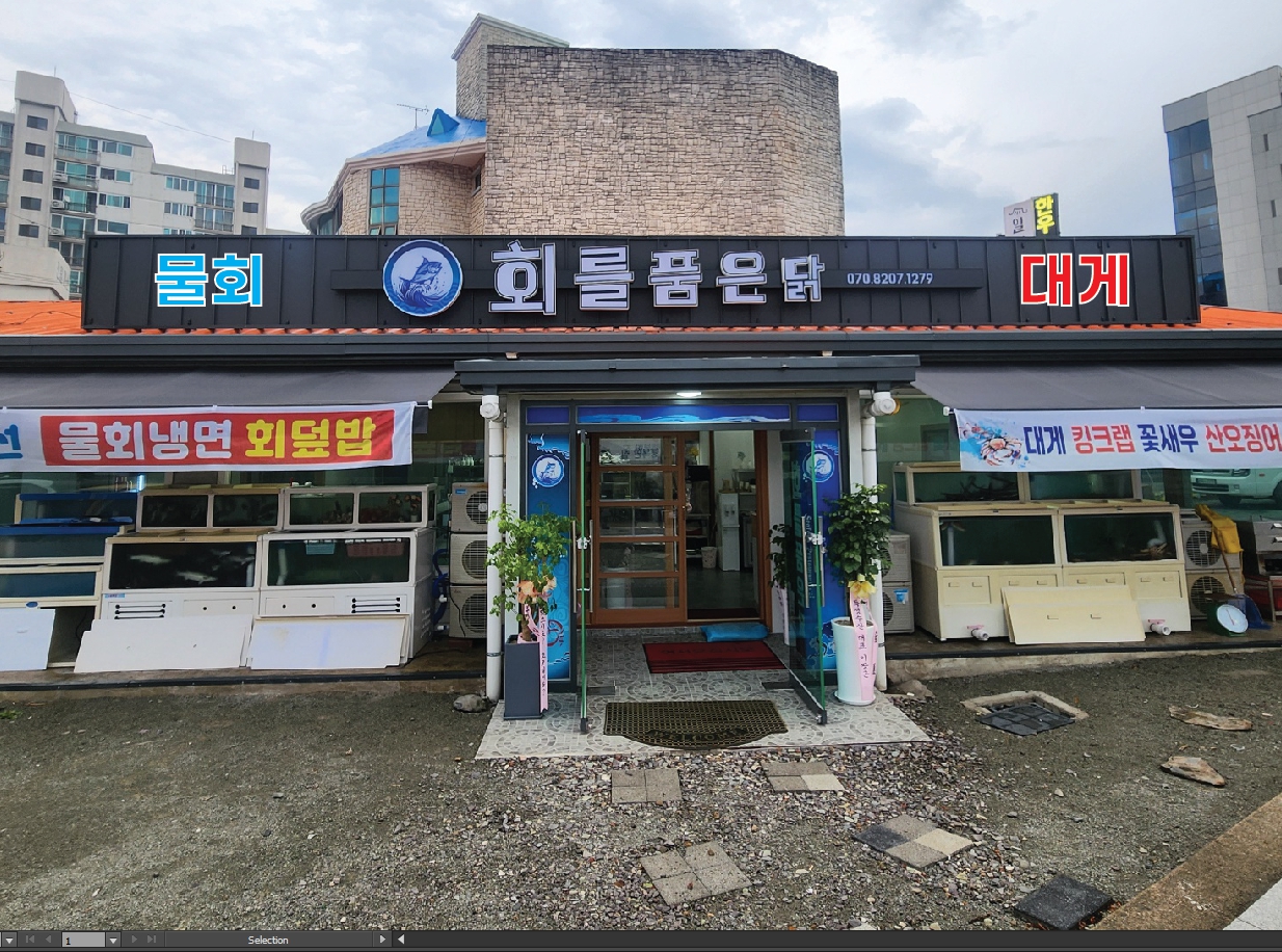 회를품은닭
