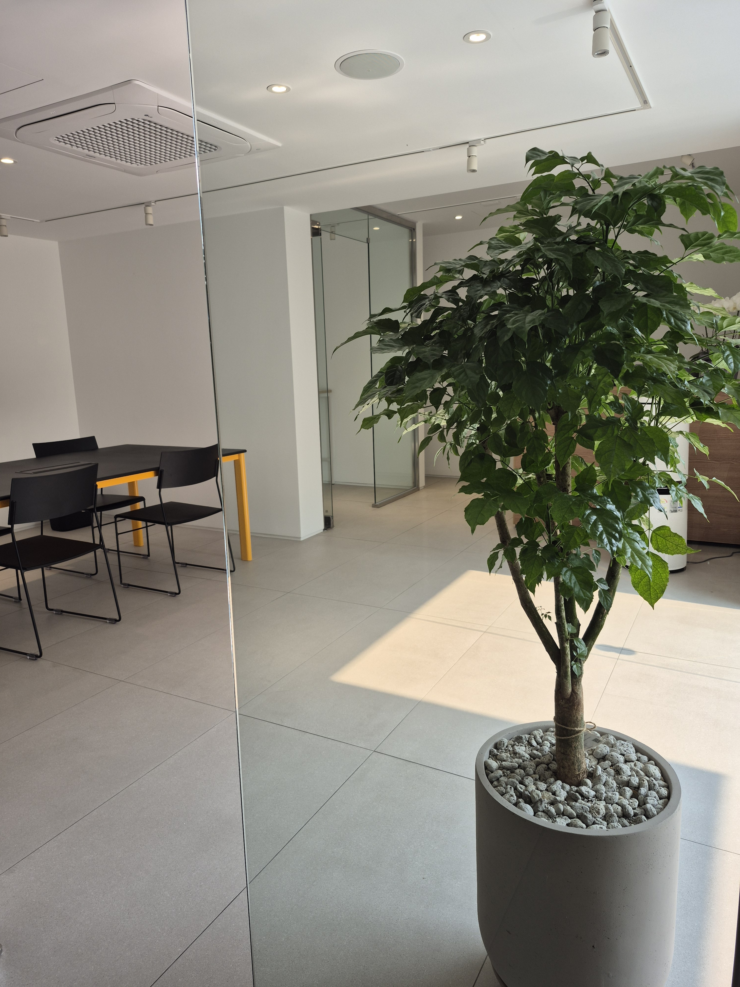 마음앤정신건강검사센터 서울 대표 이미지