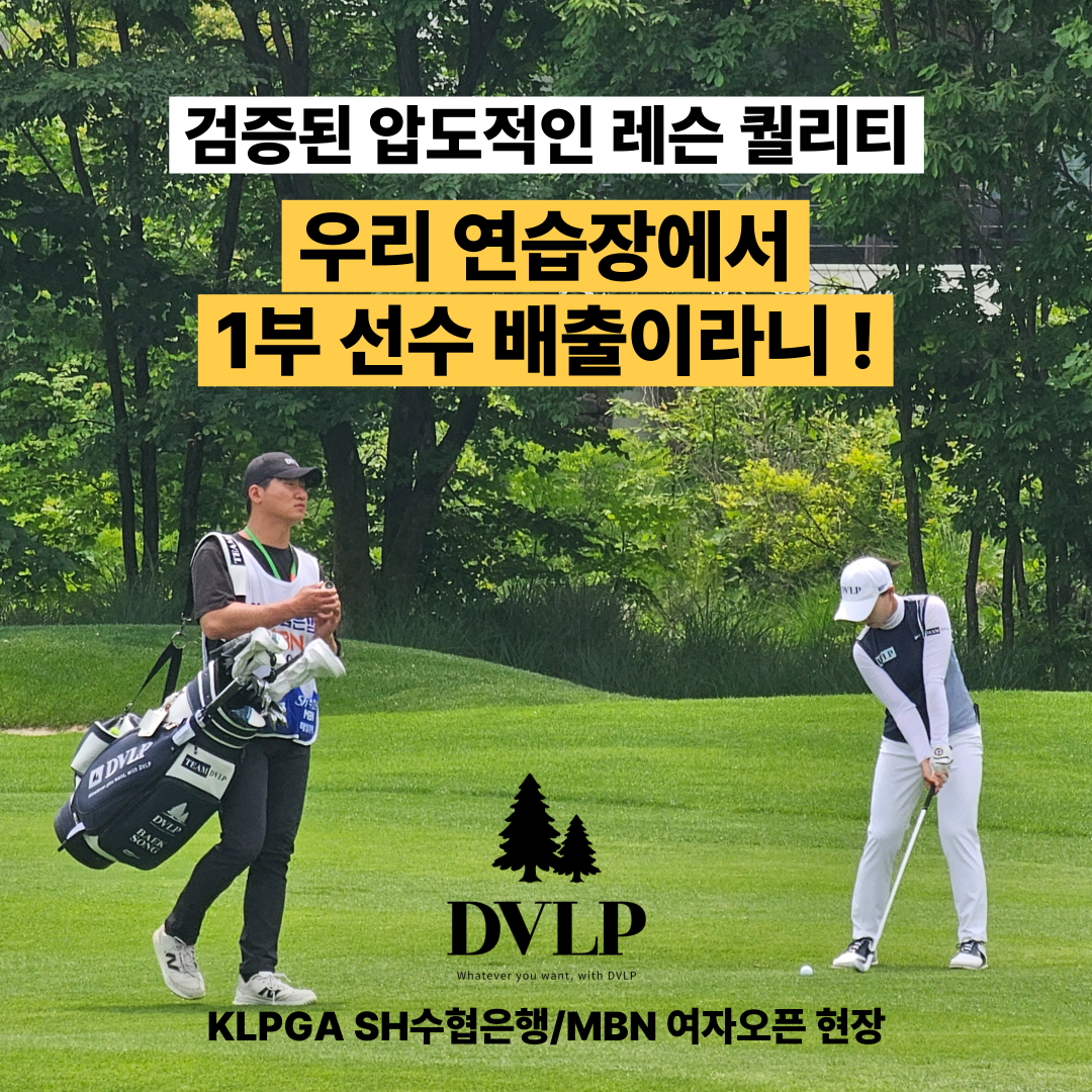 디브이엘피 용산 vse 골프연습장 대표 이미지