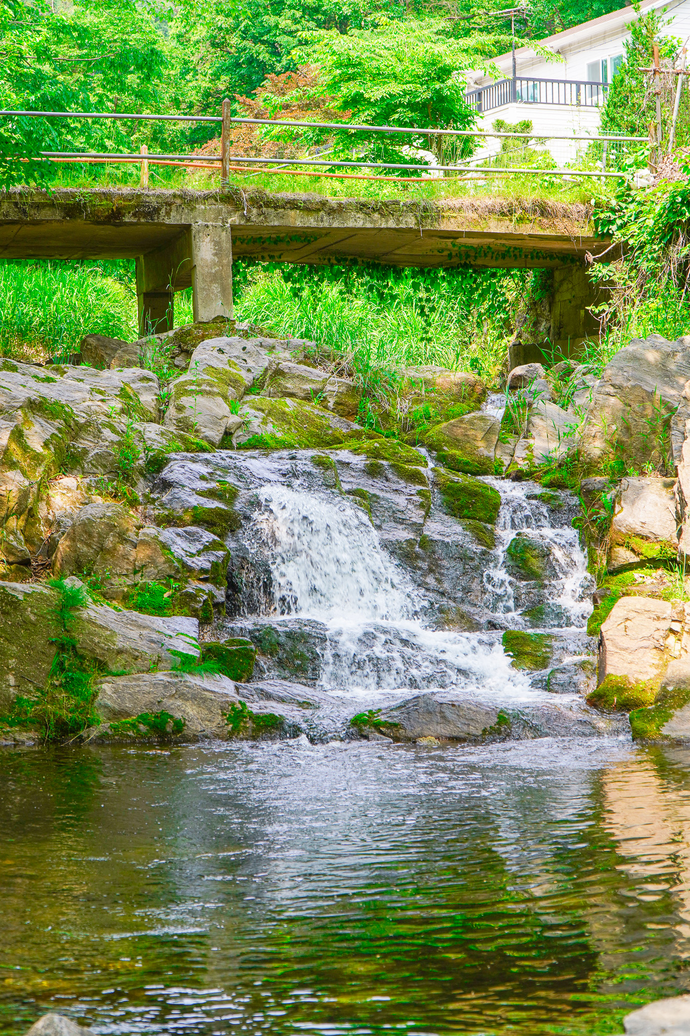 아르페지오 대표 이미지