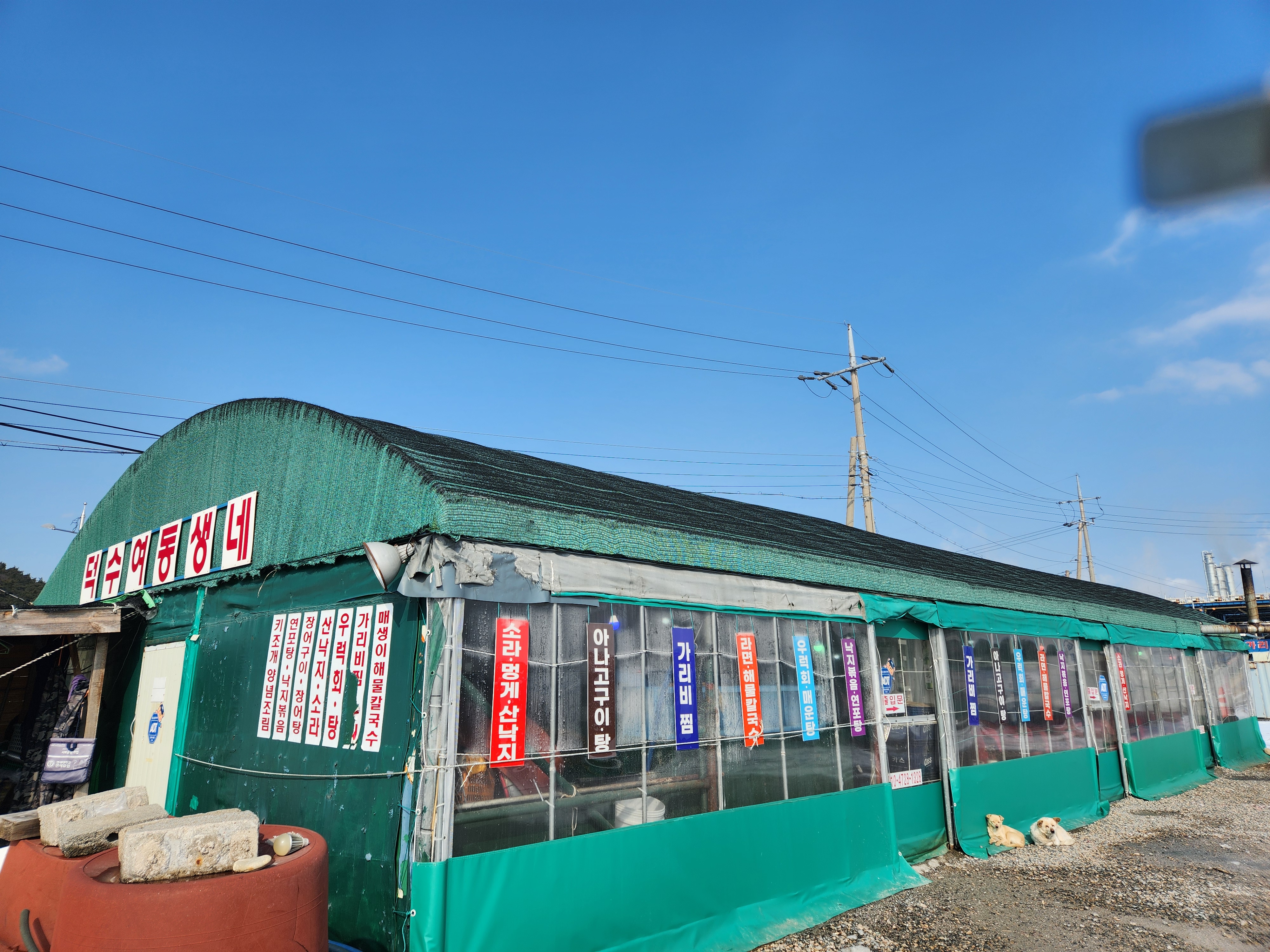 덕수여동생점