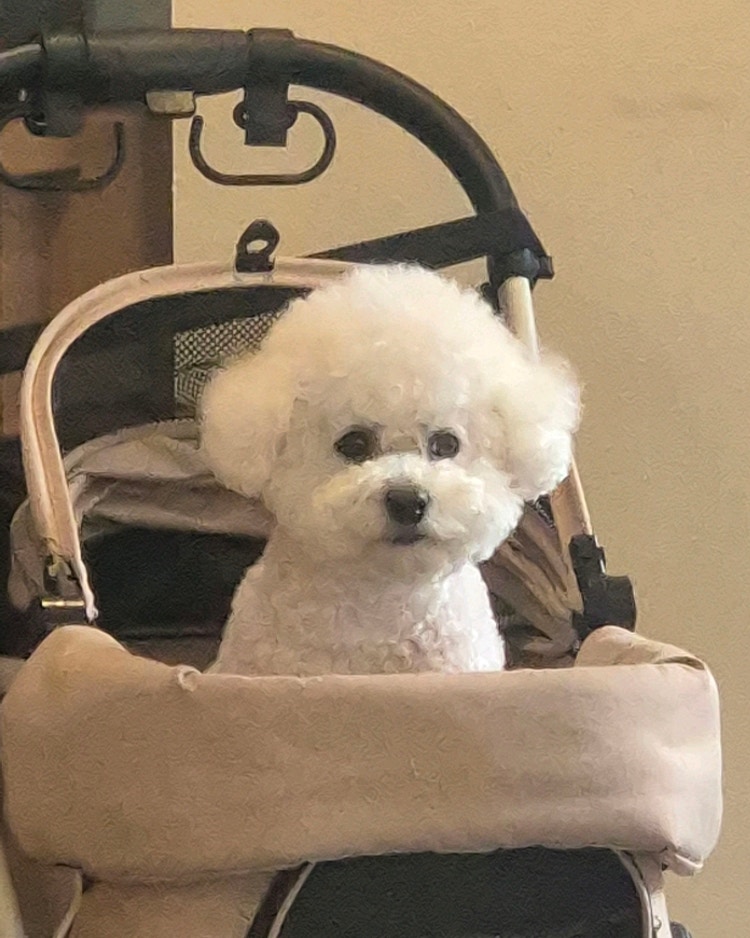 미들슬로우 커피하우스 궁동점